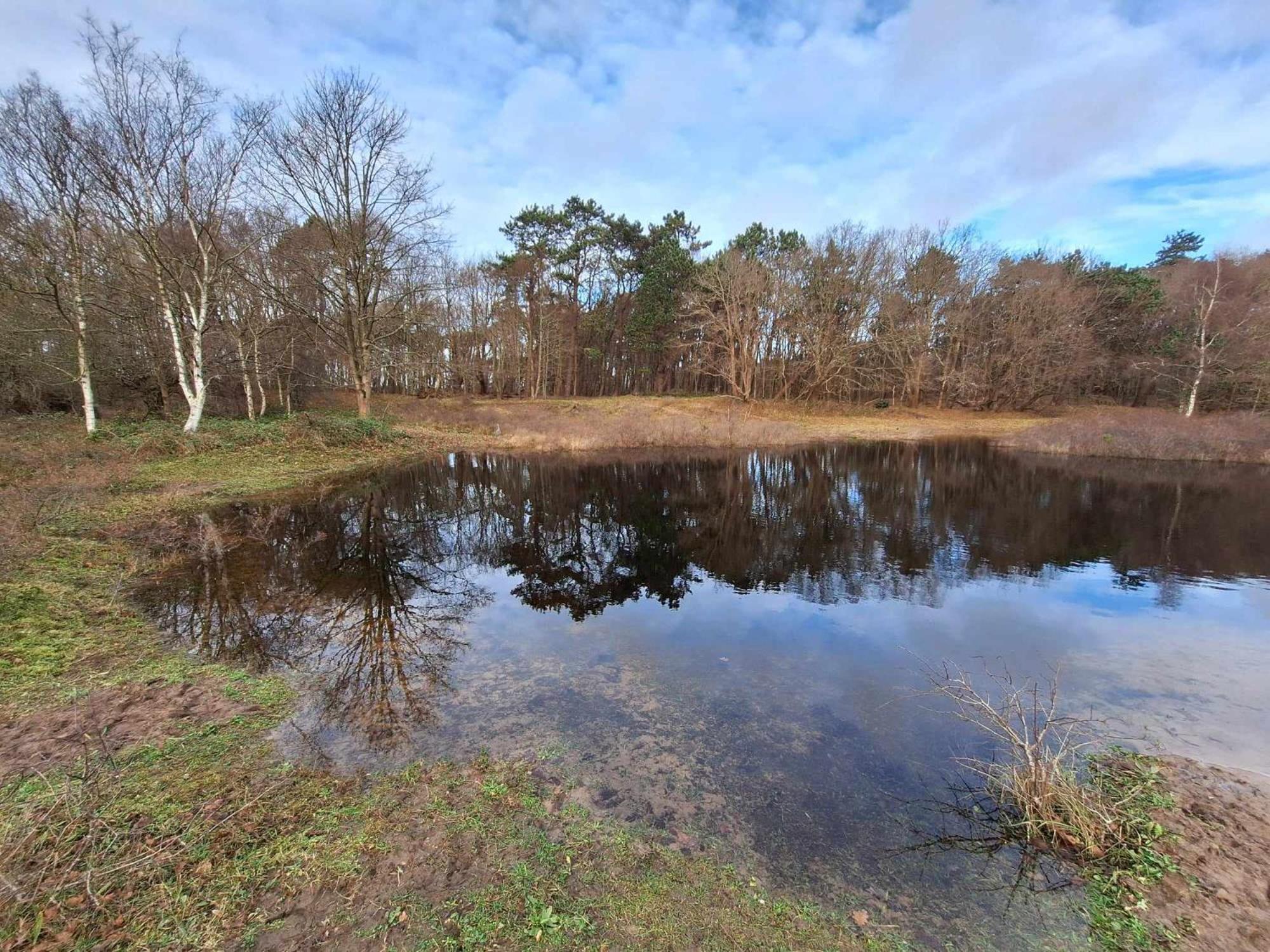 Bijzonder Bakkum view 5