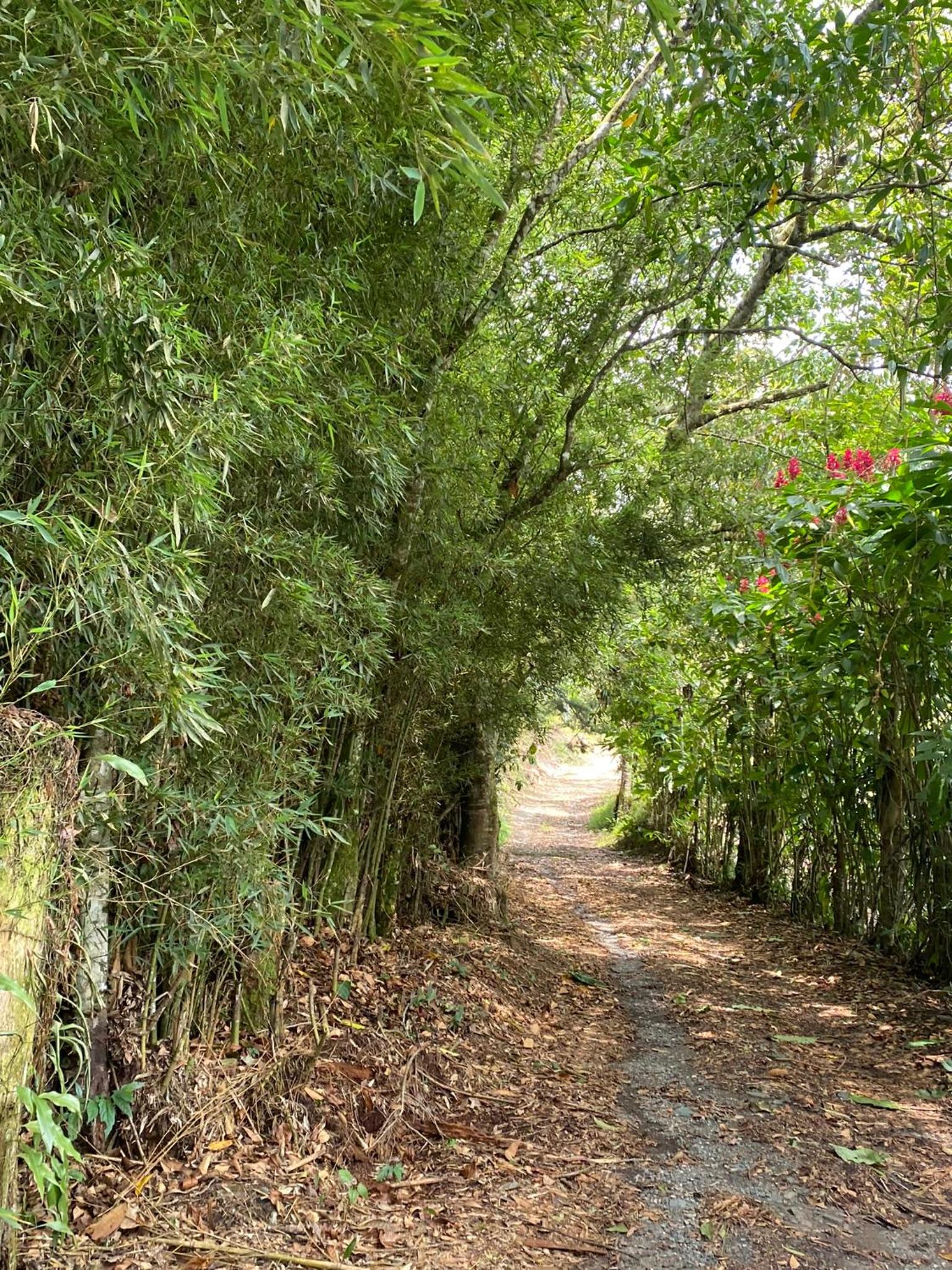 Cabaña en Boquía