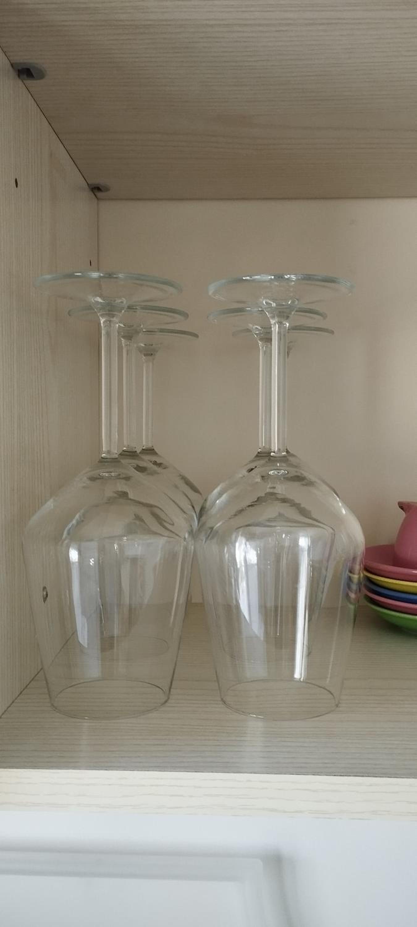 L'Oasi delle Vigne