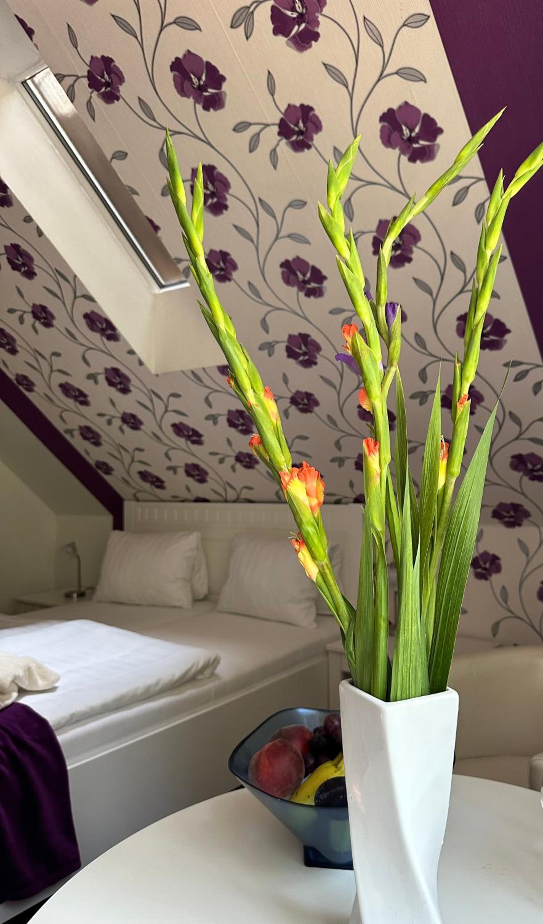 Wellness penzion Harmonie Rohanov