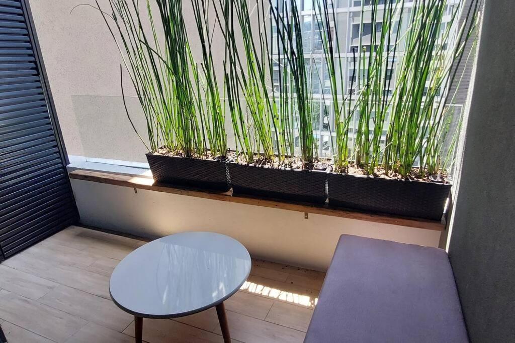 Departamento 7