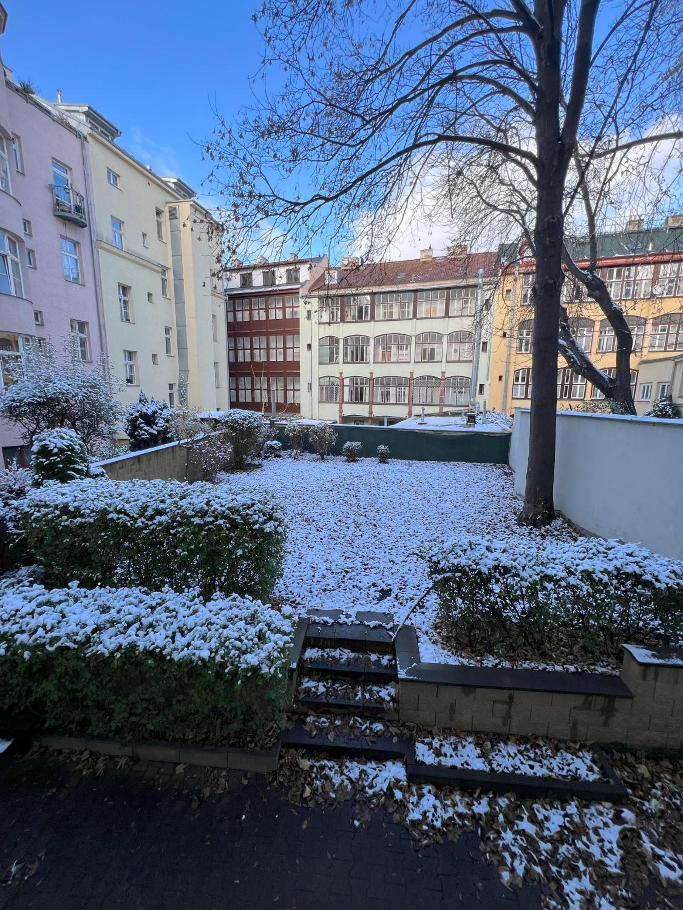 Cozy Garden Apartment in the heart of Prague