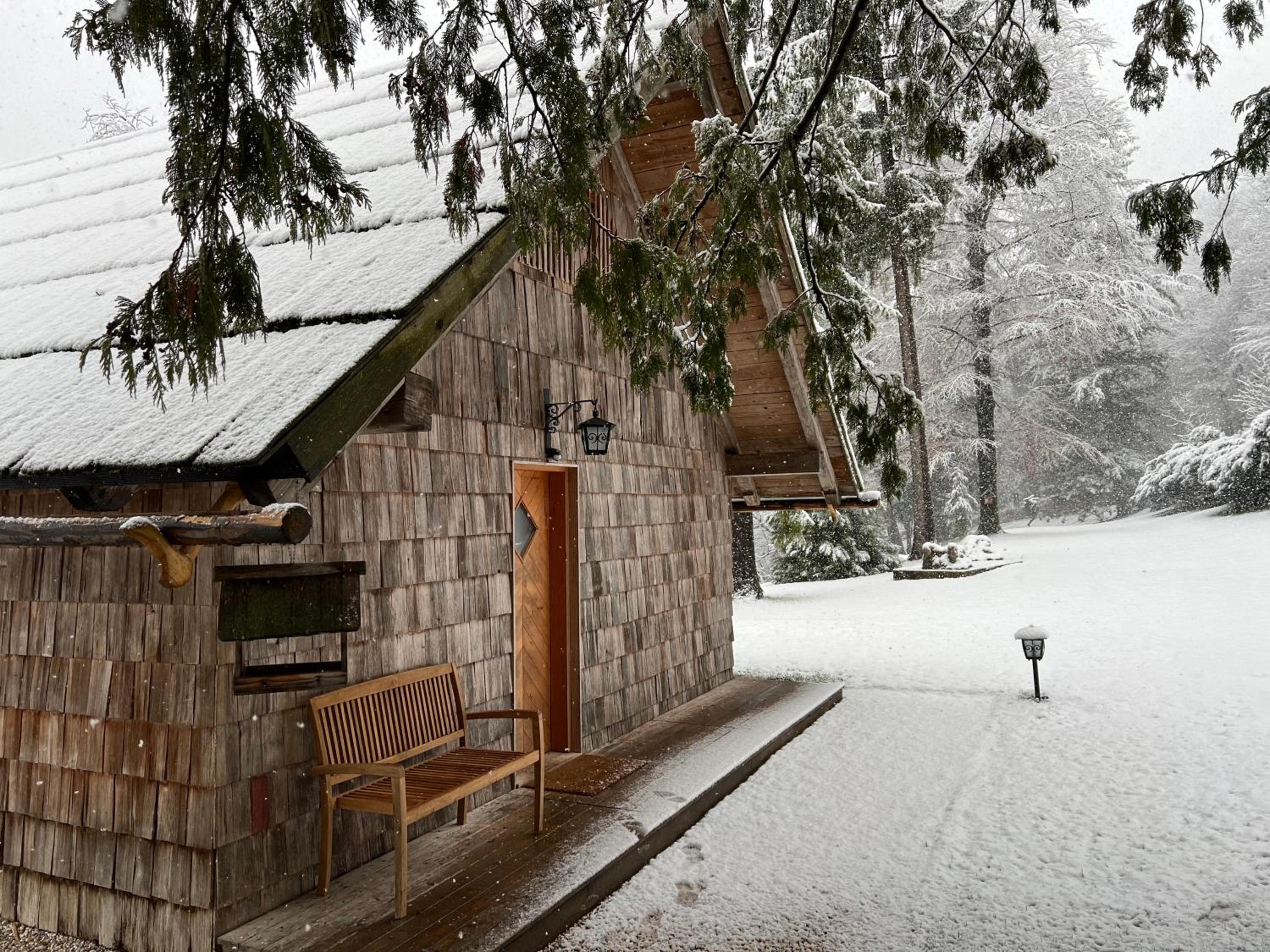 Private beach house on Lake Bled