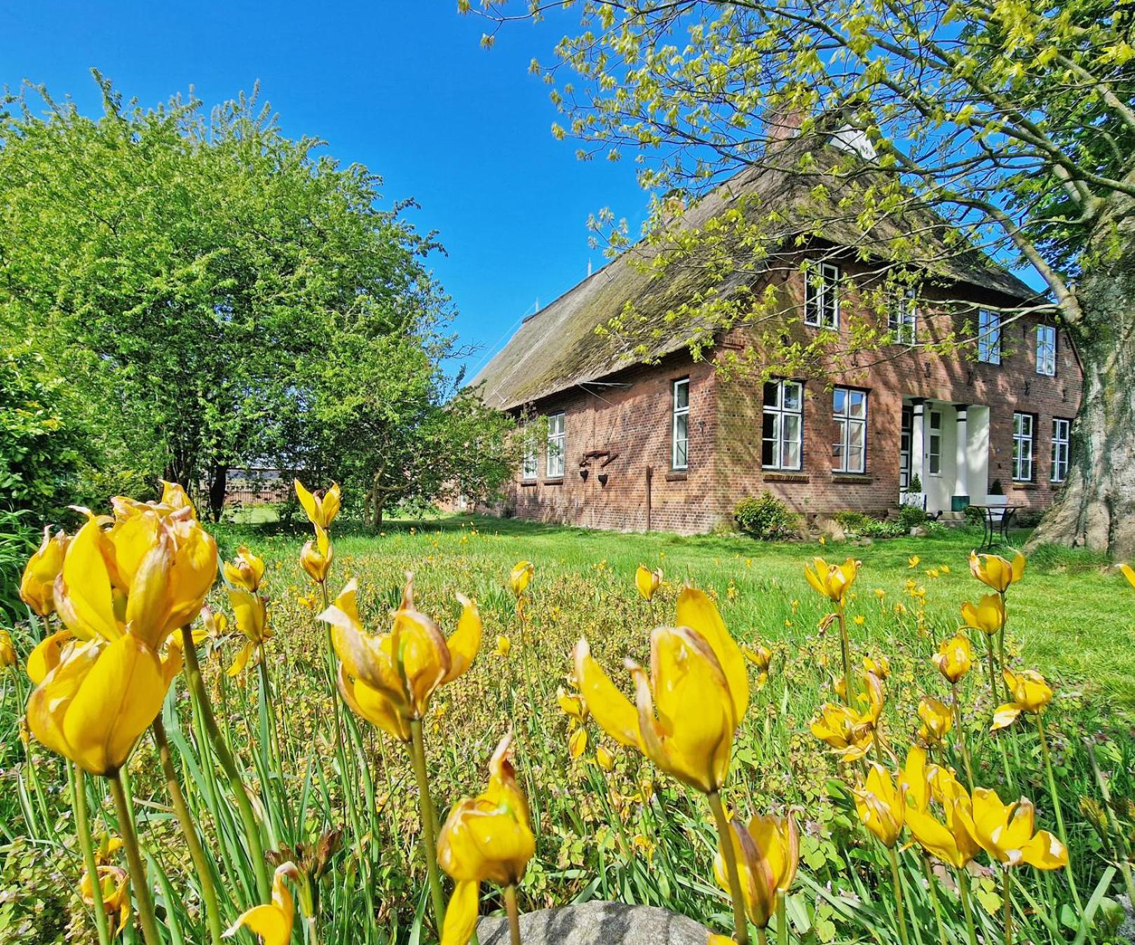 MB-Farmhouse