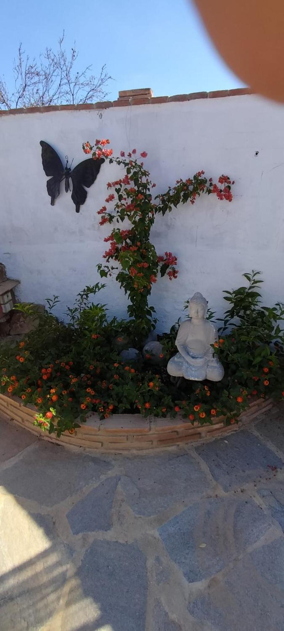 Bed & Breakfast Casa Ceratonia