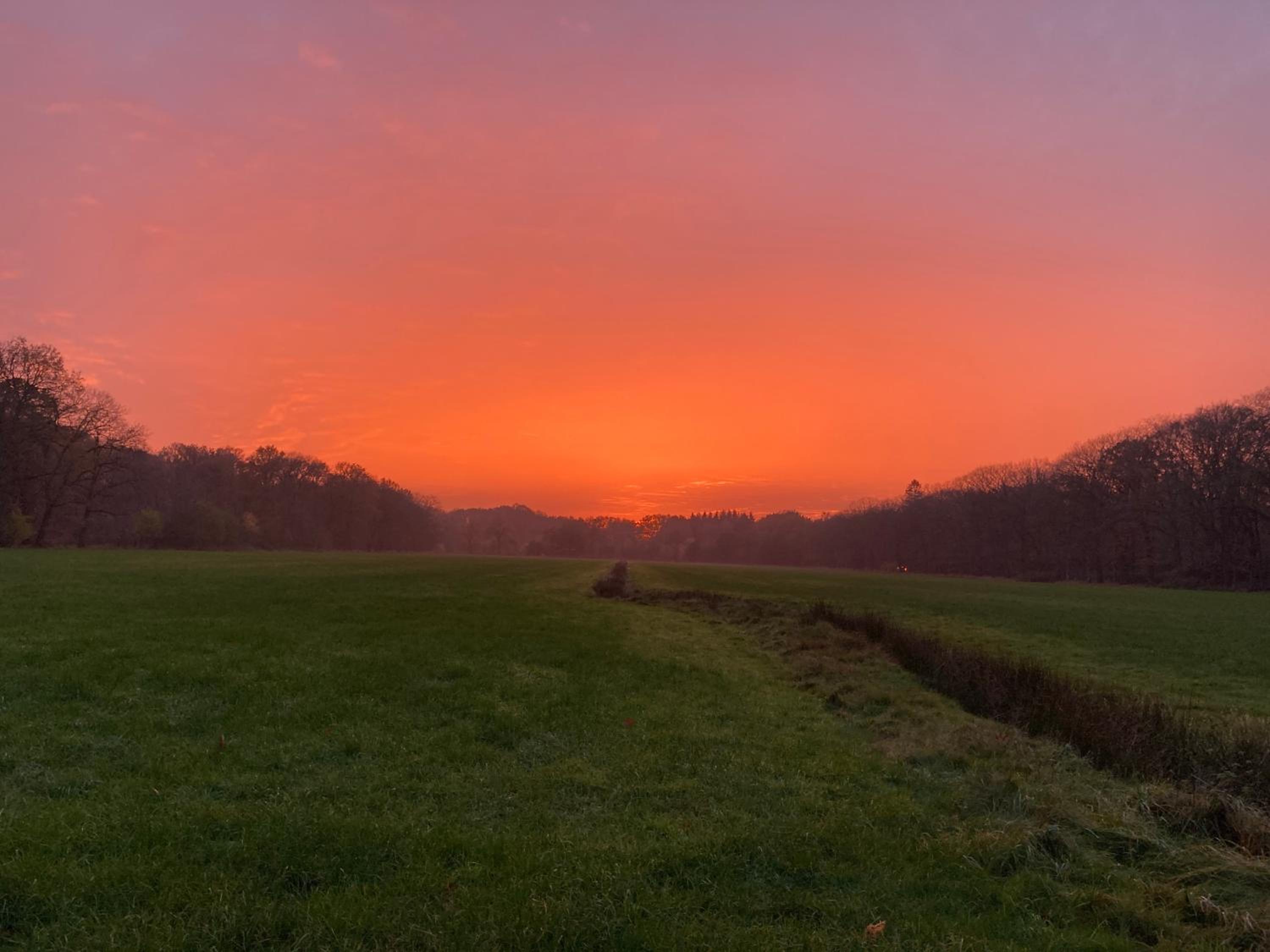 BoswachterHuisje