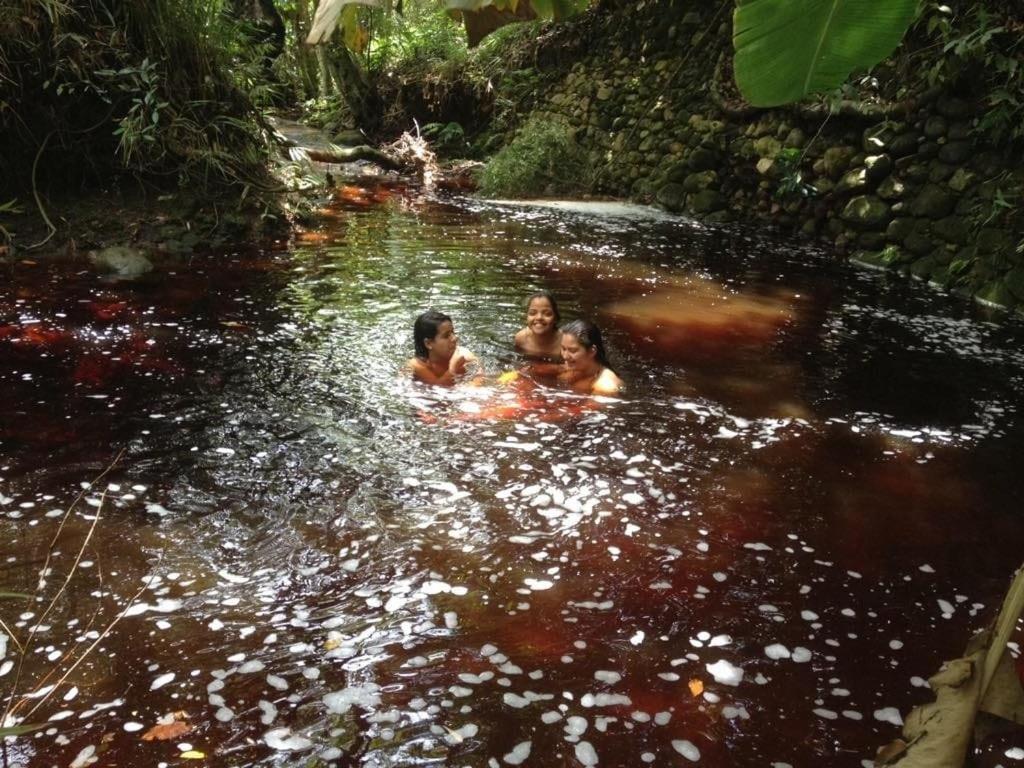 Hospedaria Quintal Dos Sonhos