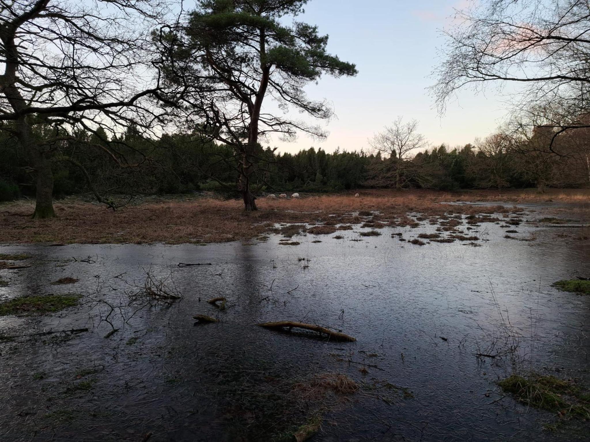 Photo 13