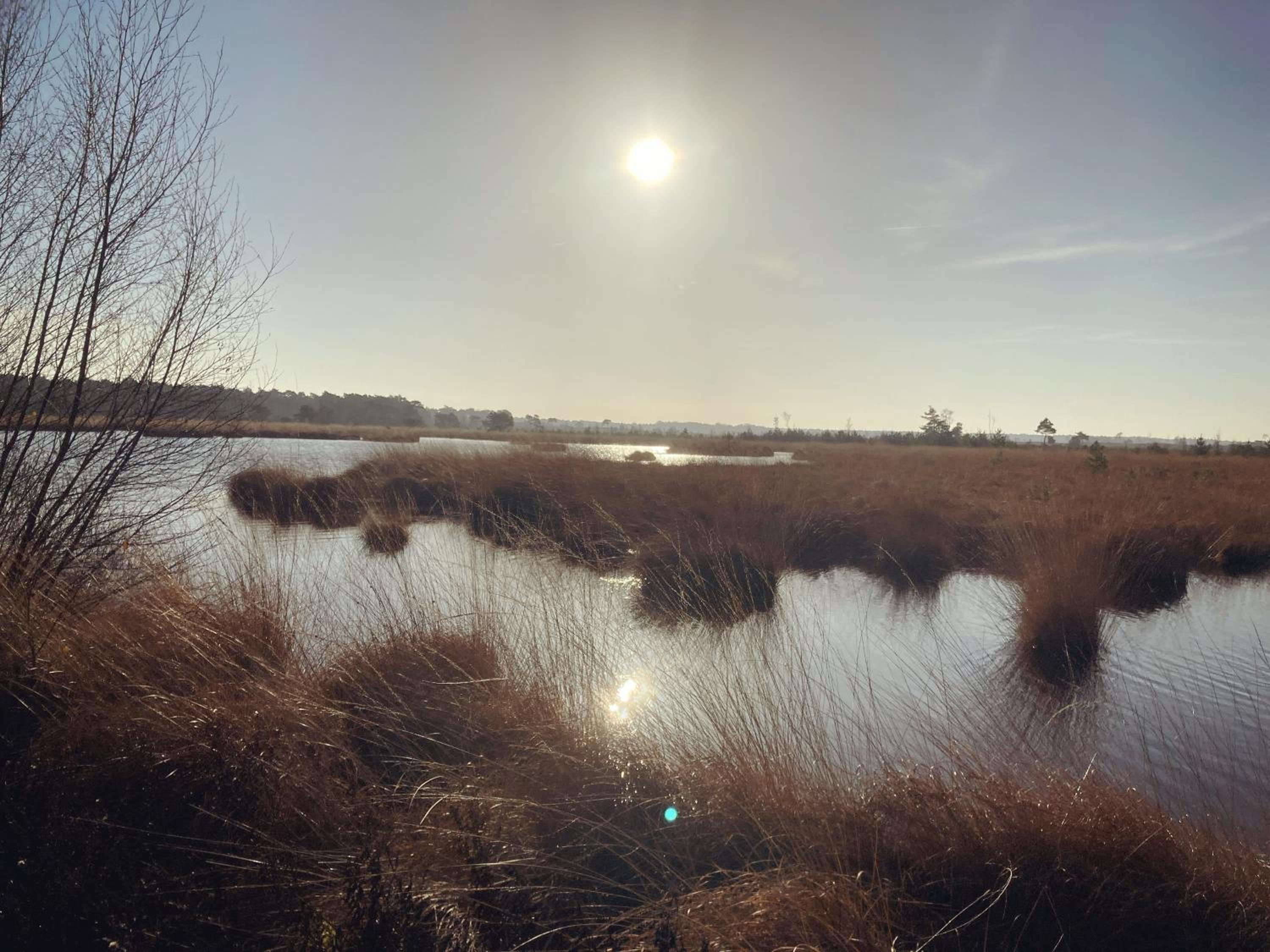 BoswachterHuisje