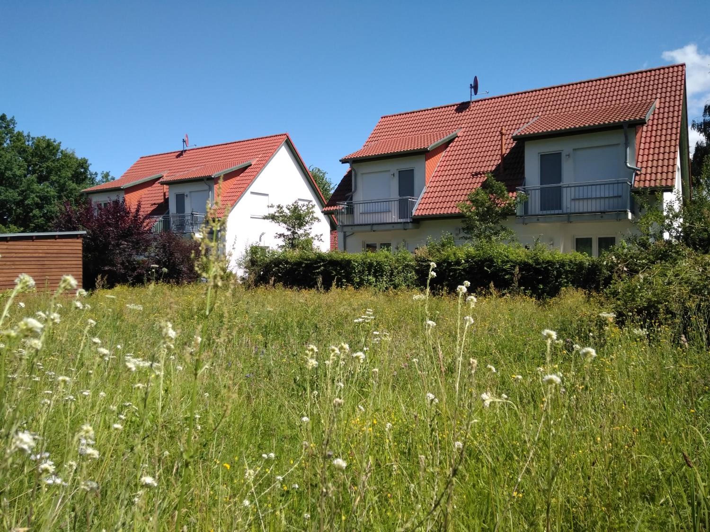 Alter Schulgarten
