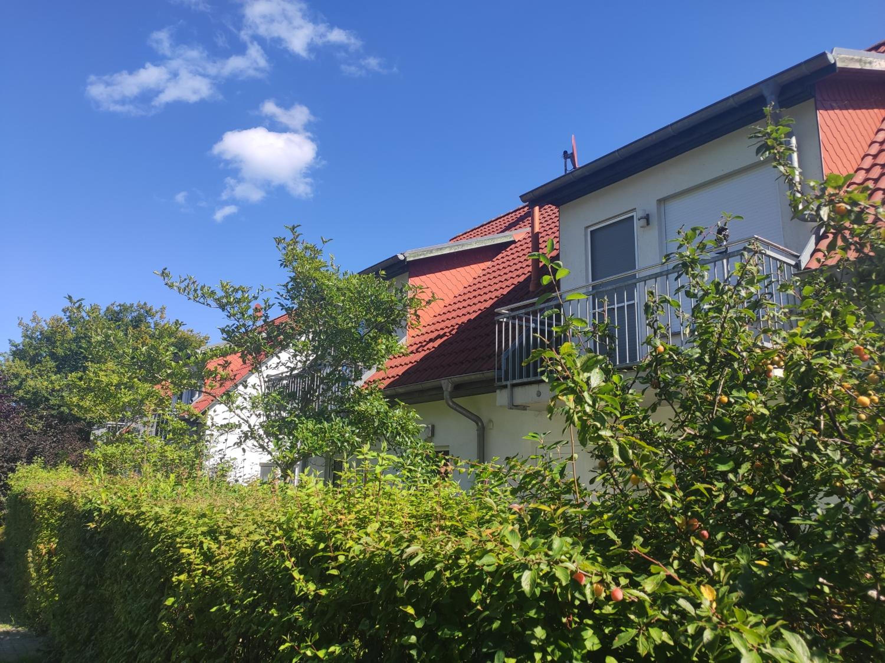 Alter Schulgarten
