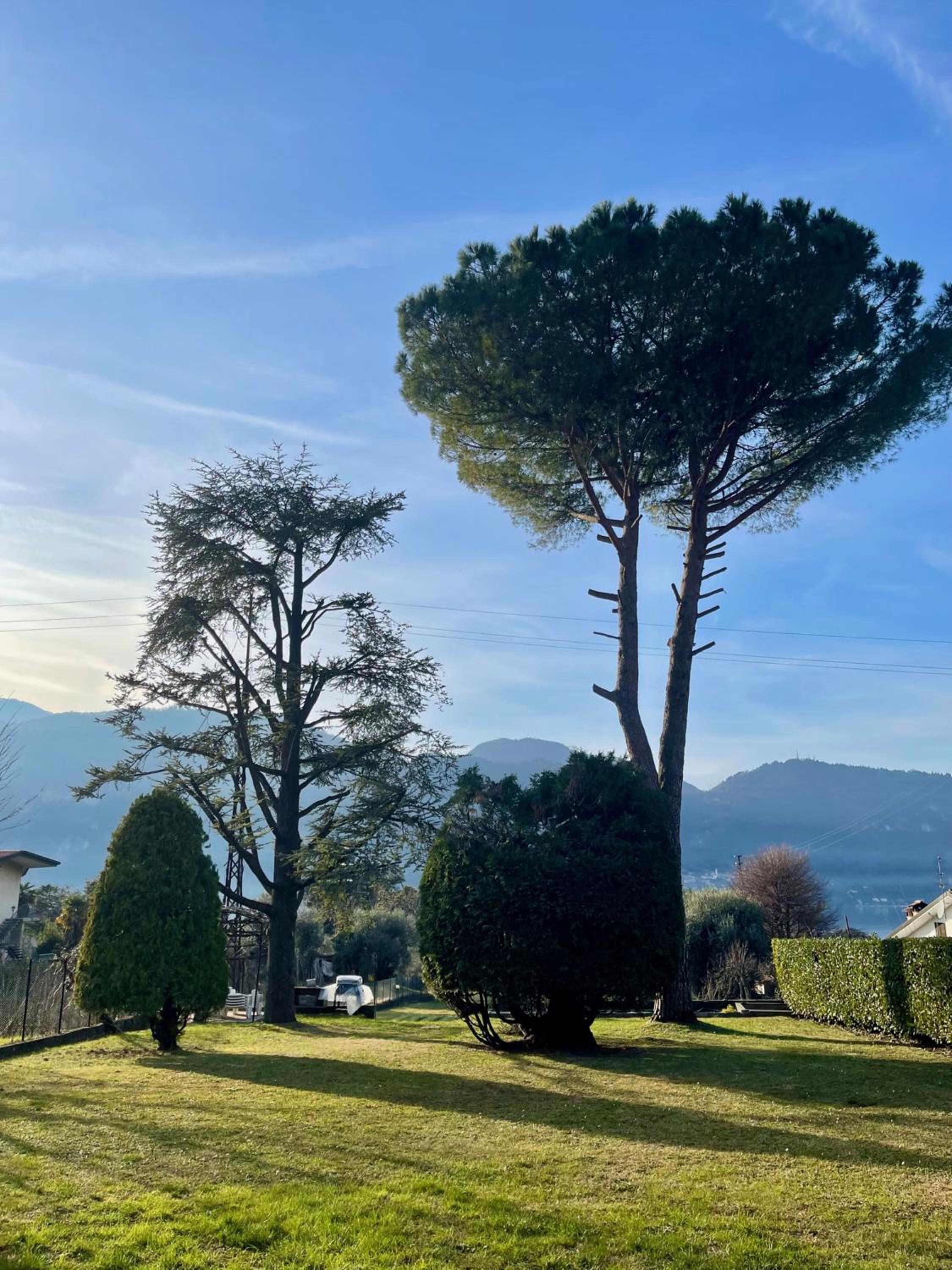 Villa Rosi