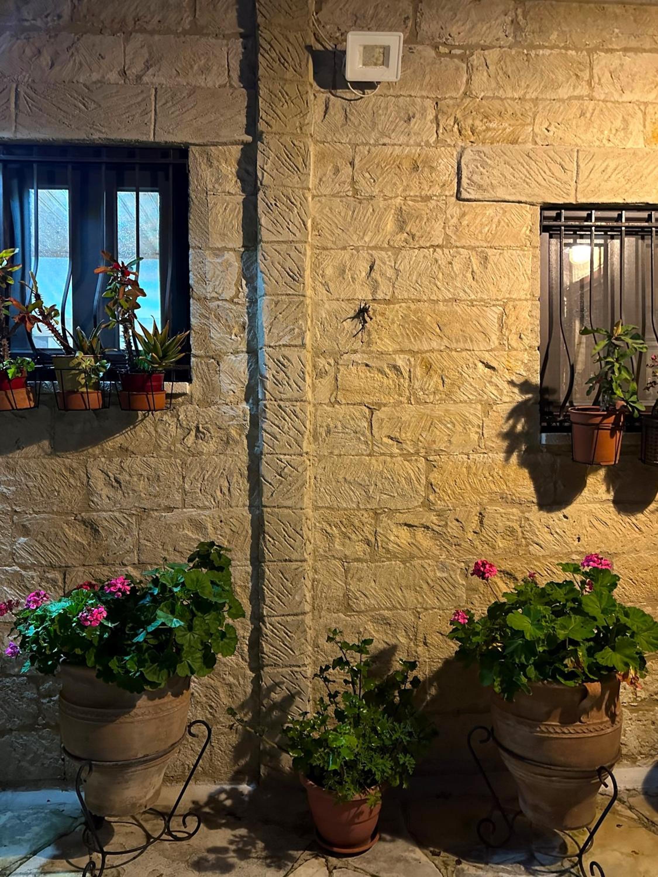 Cosy Piano village cottage in Pachna