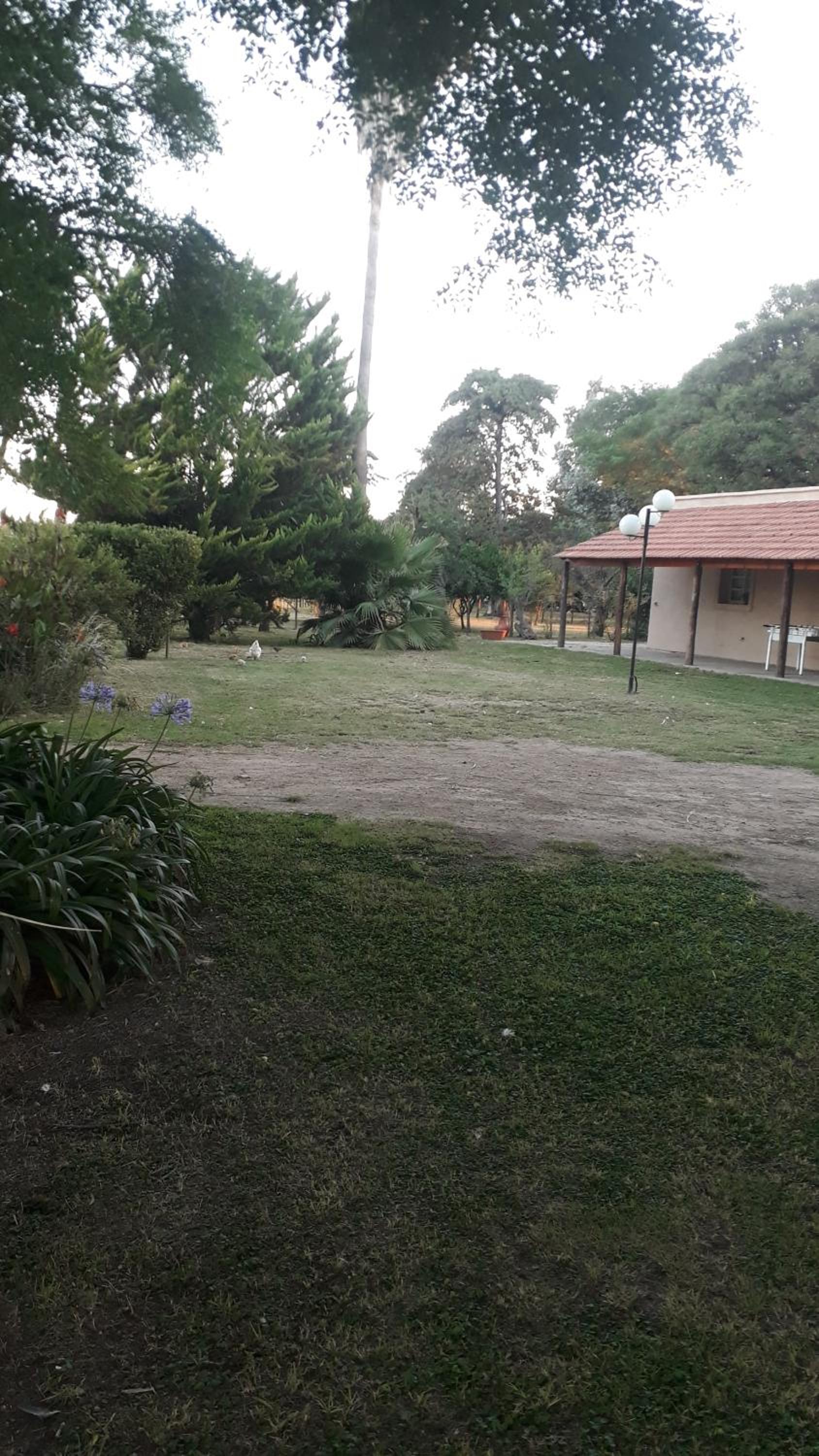 Cabaña casa grande