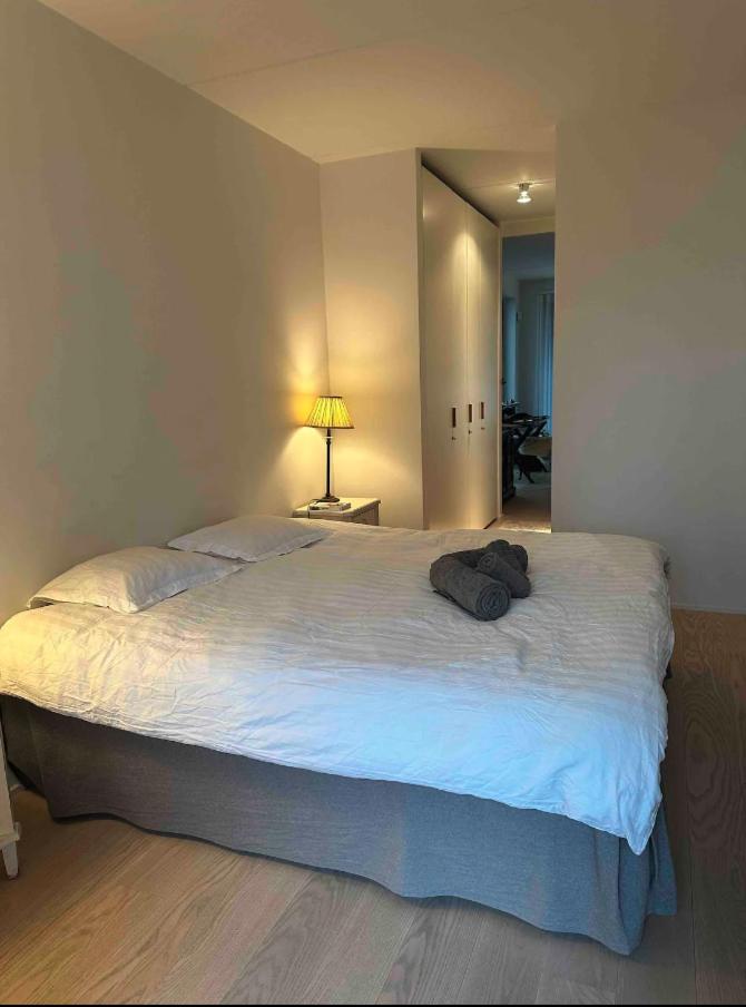Shared Modern apartment with pets by the waterfront view 4