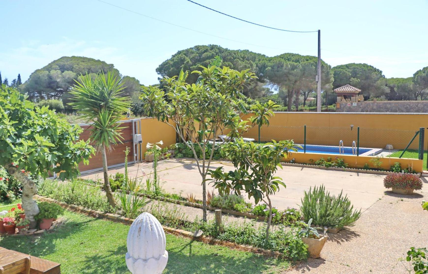 Chalet Pilahito photo 2