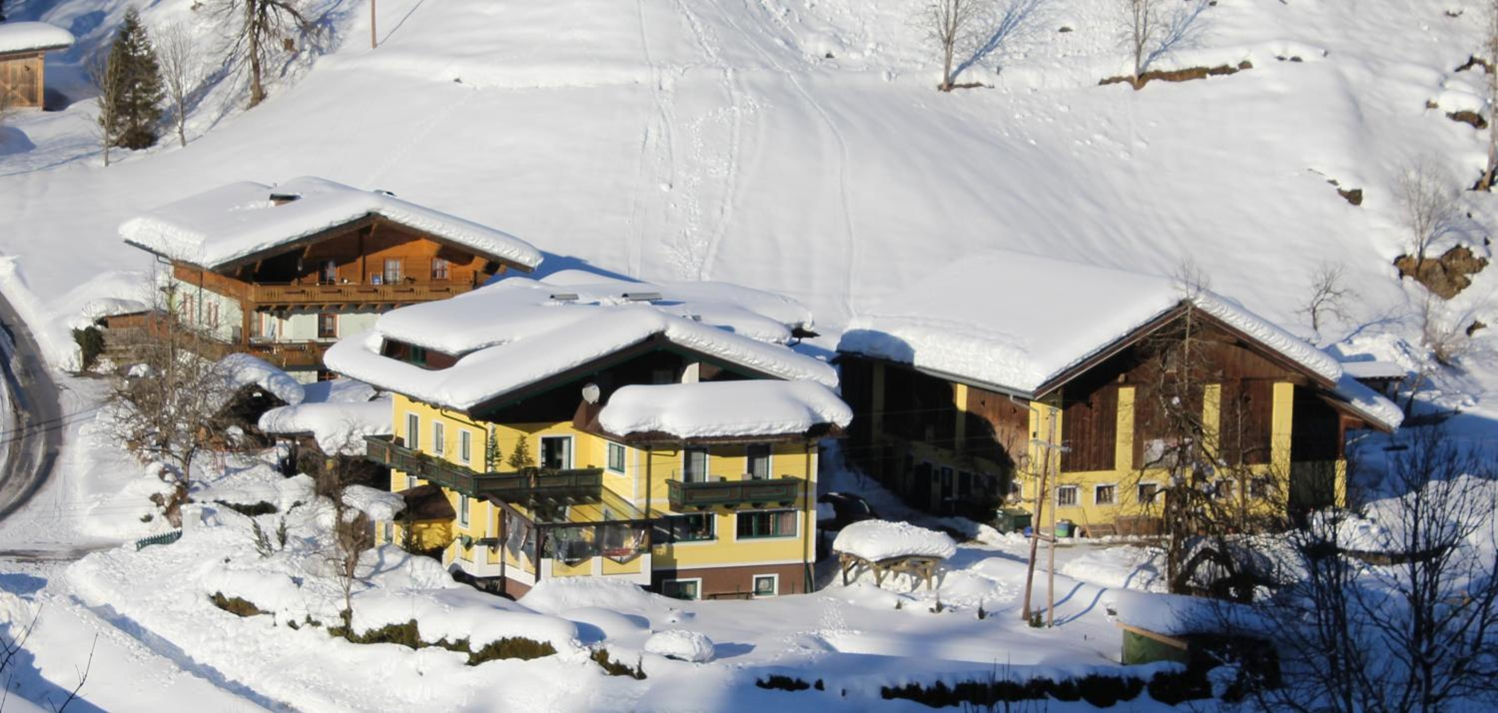 Schattaugut