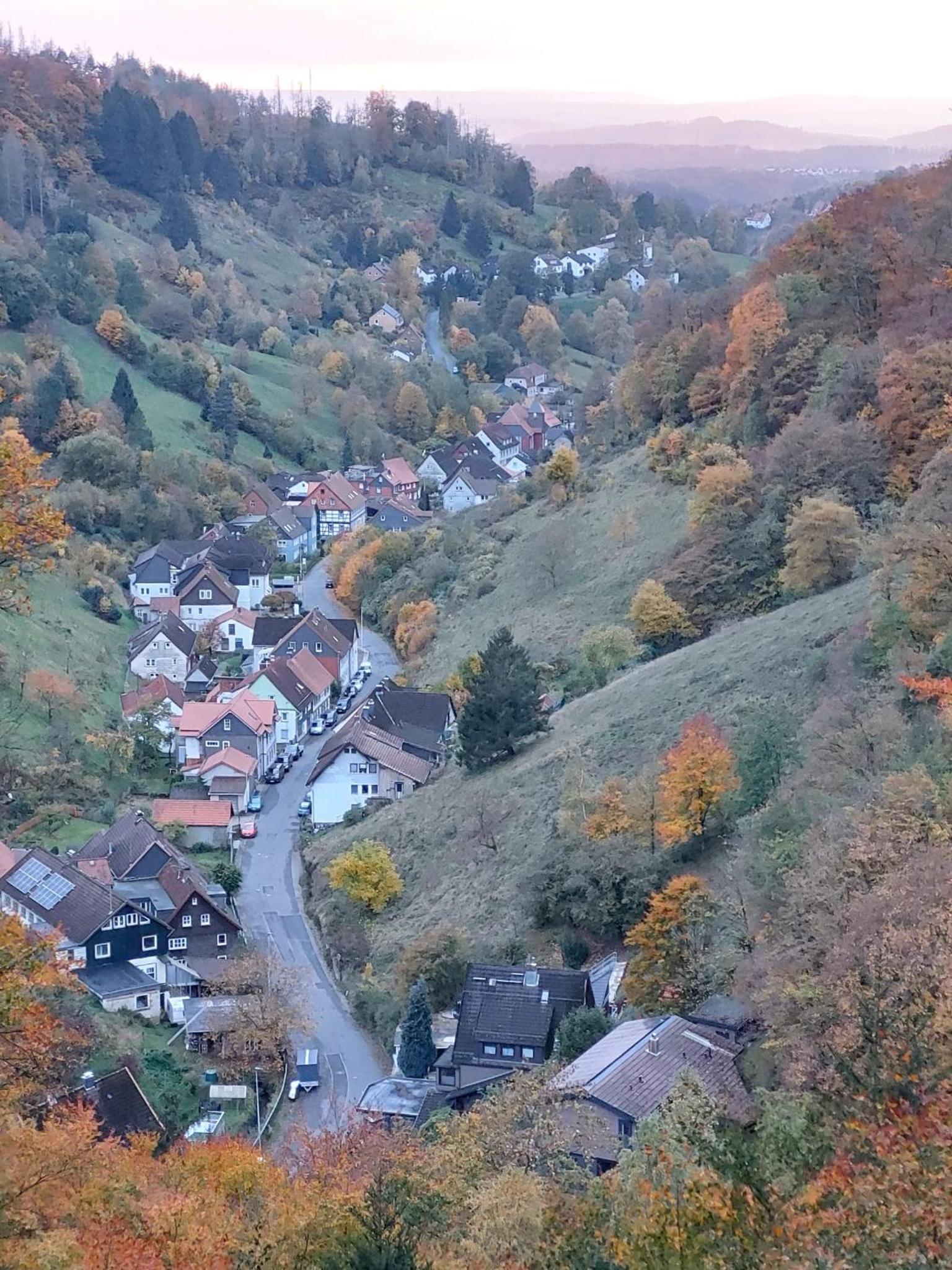 Olifant in Osterode