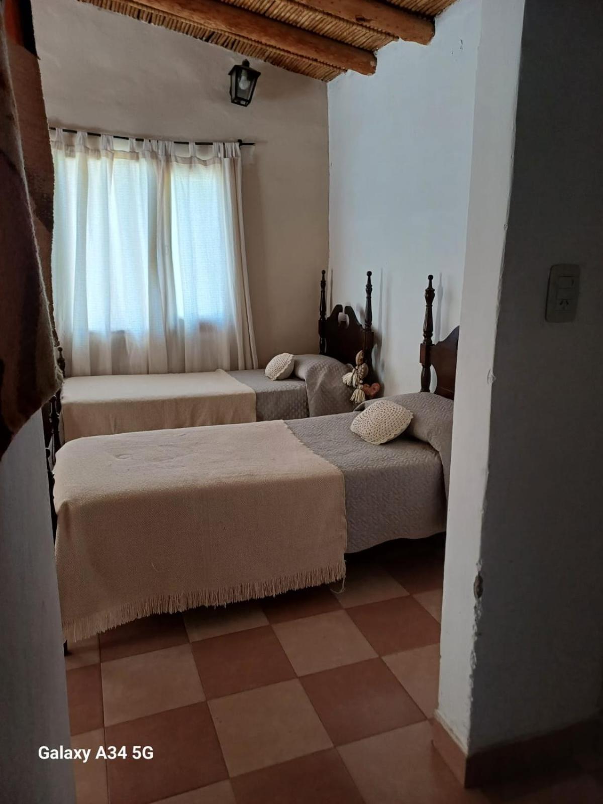Cactus y Almacen - Purmamarca