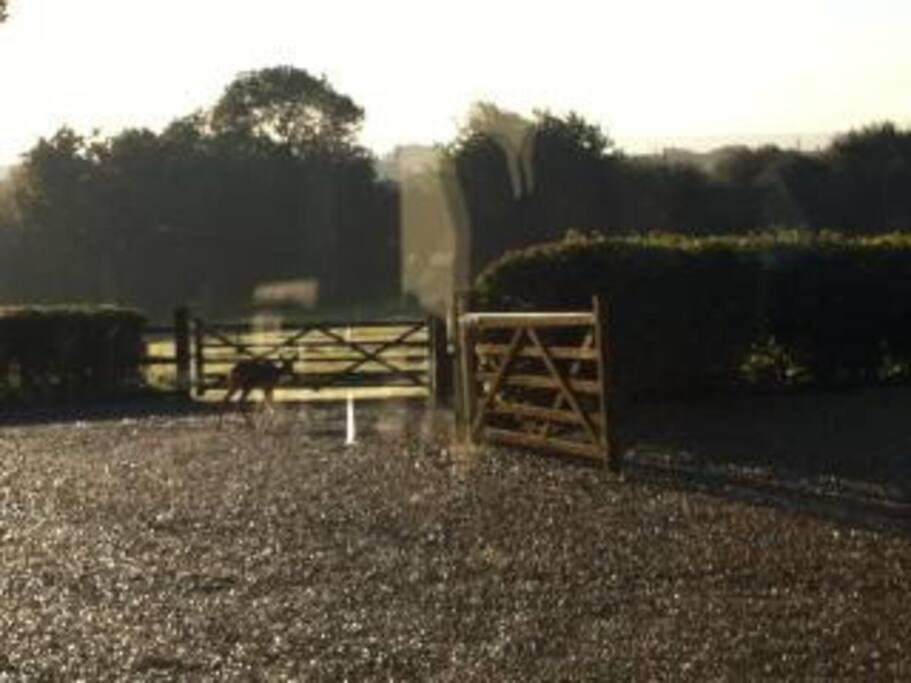 other