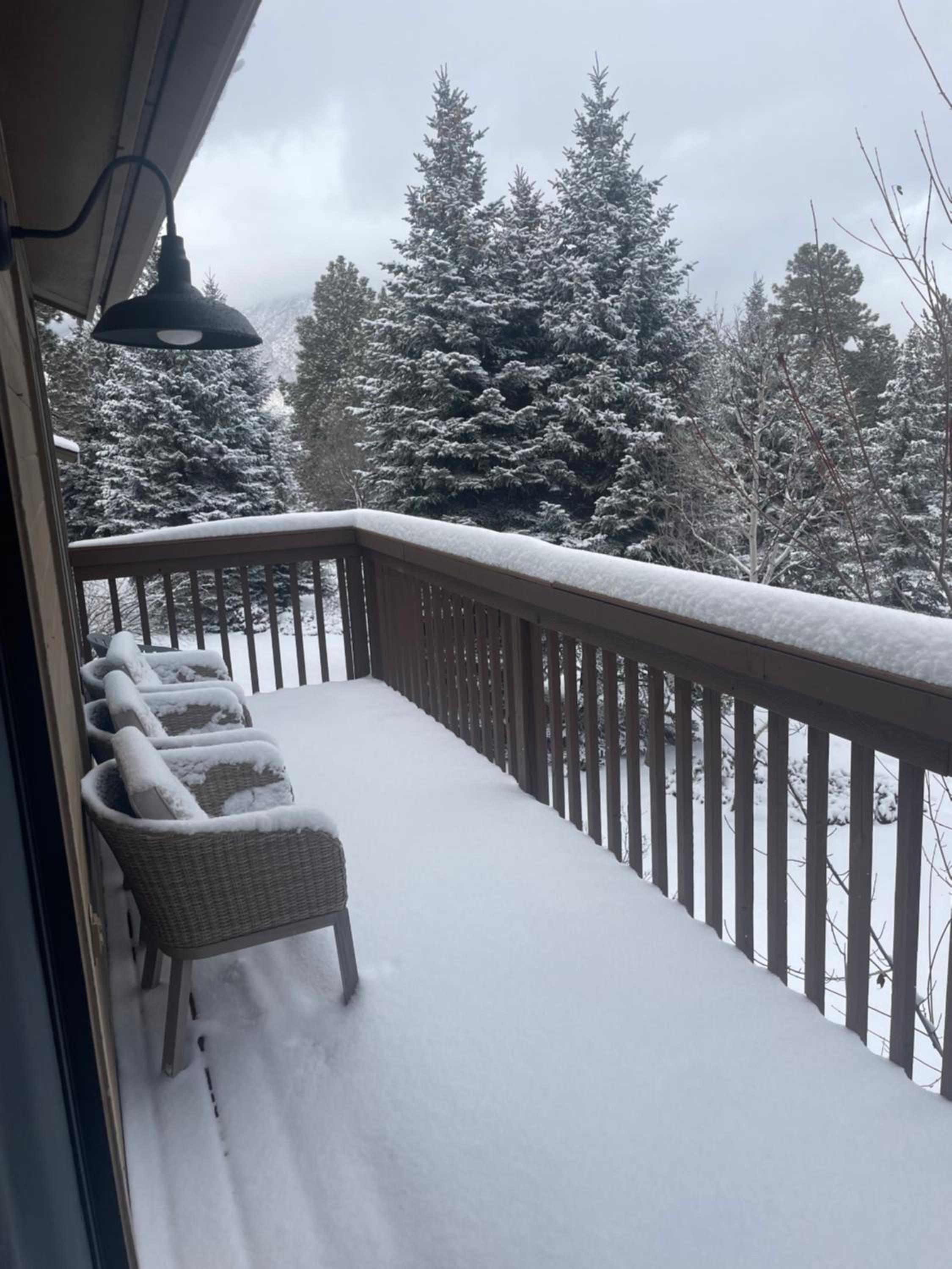 Cozy Retreat in the Pines Mins to Downtown view 4