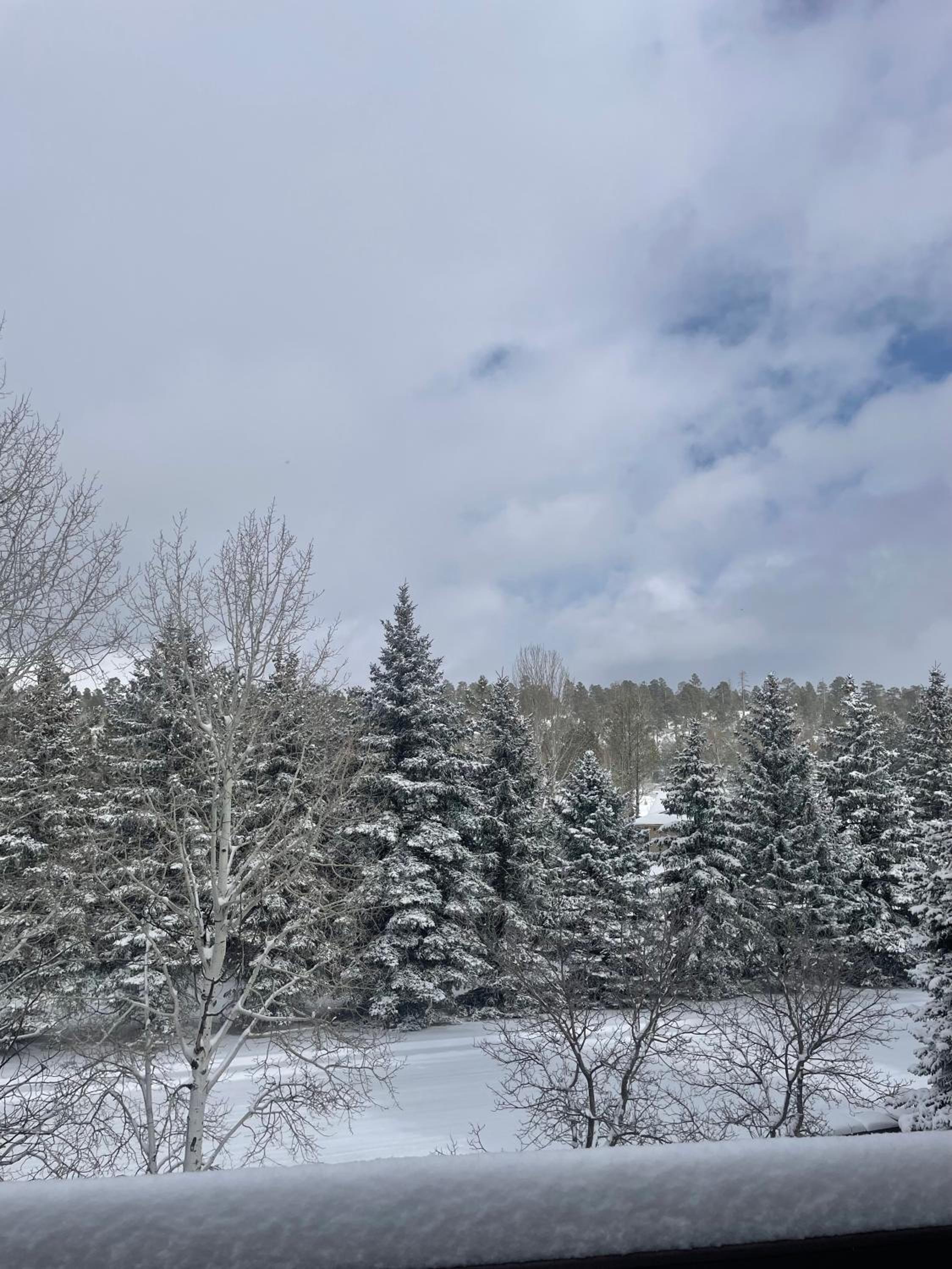Cozy Retreat in the Pines Mins to Downtown view 5