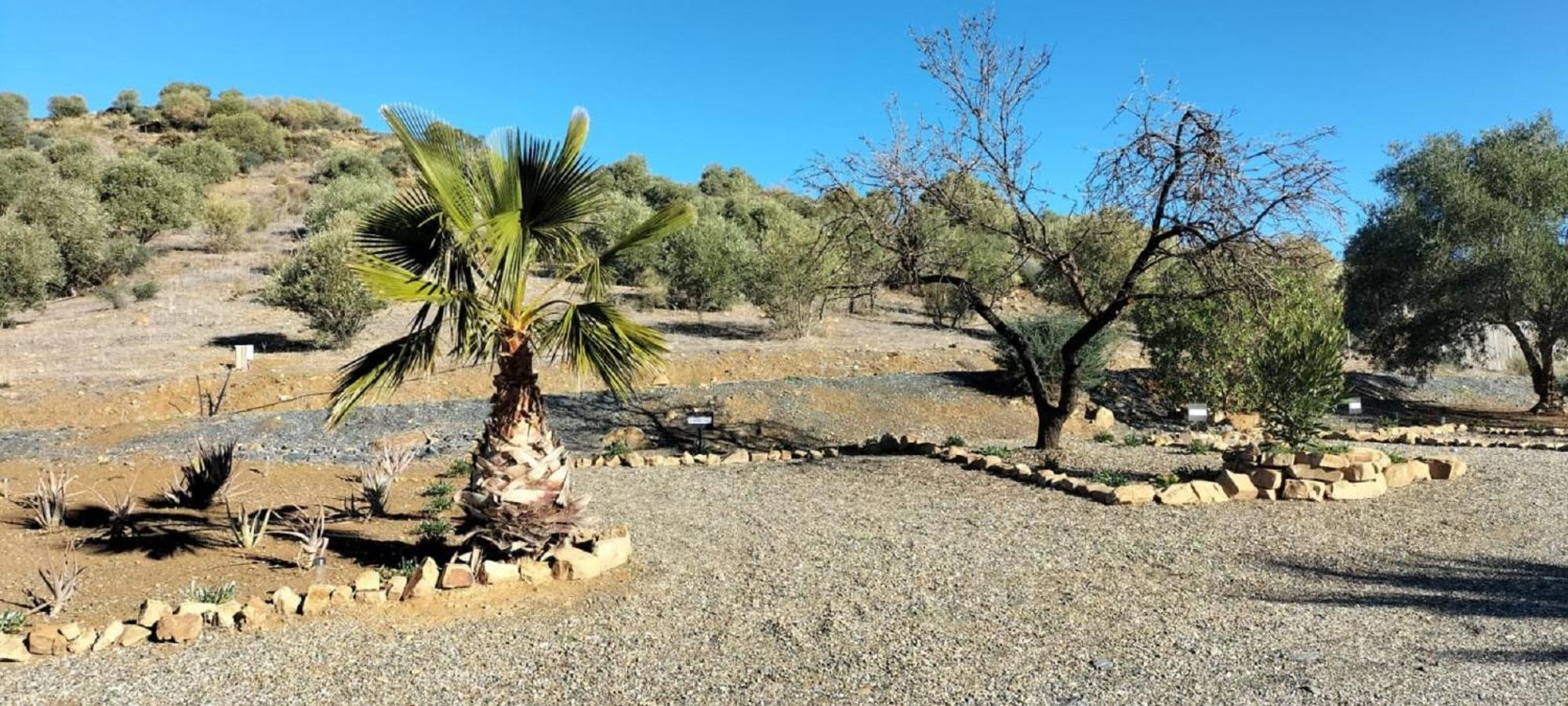 Bed & Breakfast Casa Ceratonia