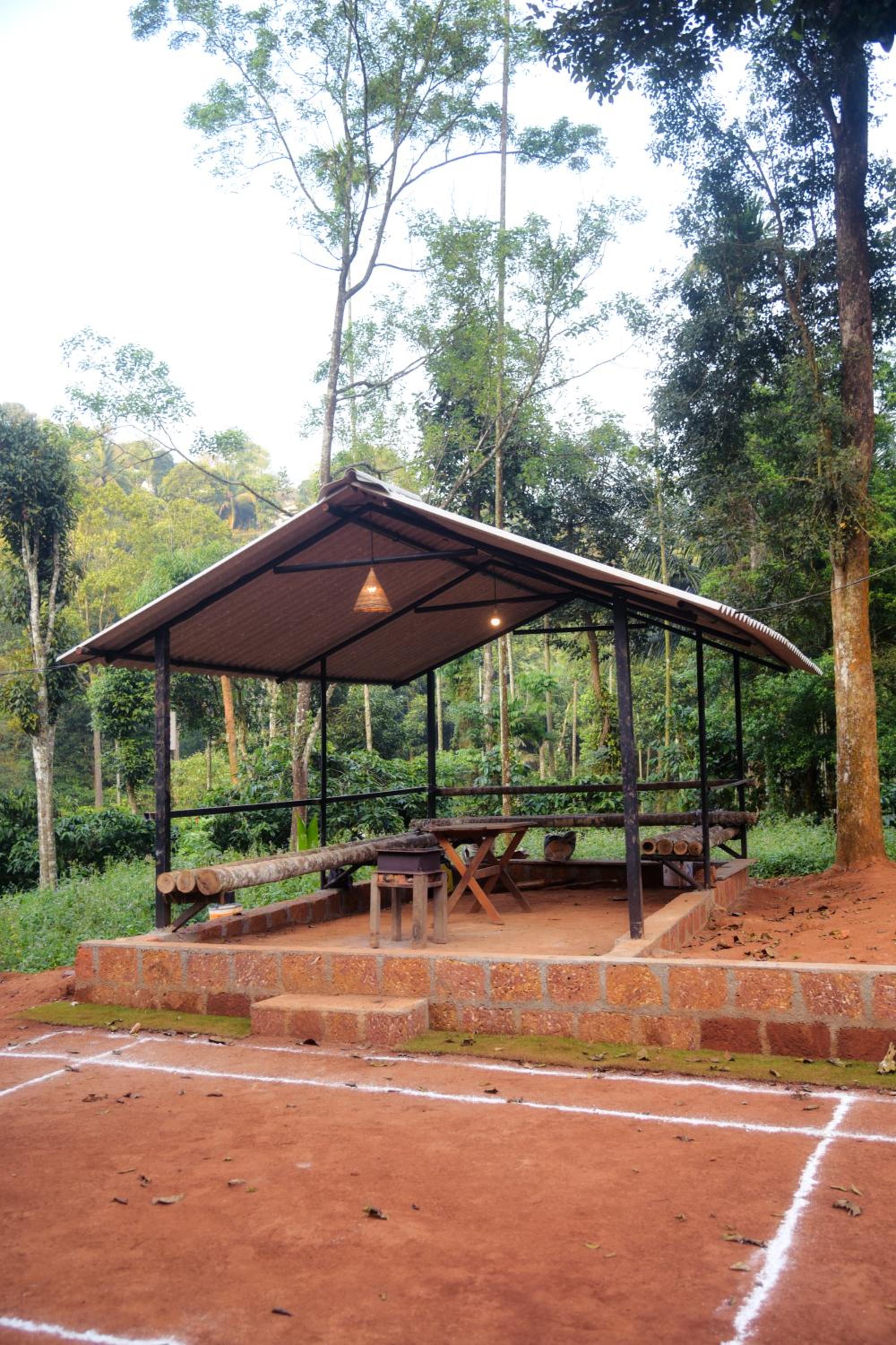 TREE6 WAYANAD
