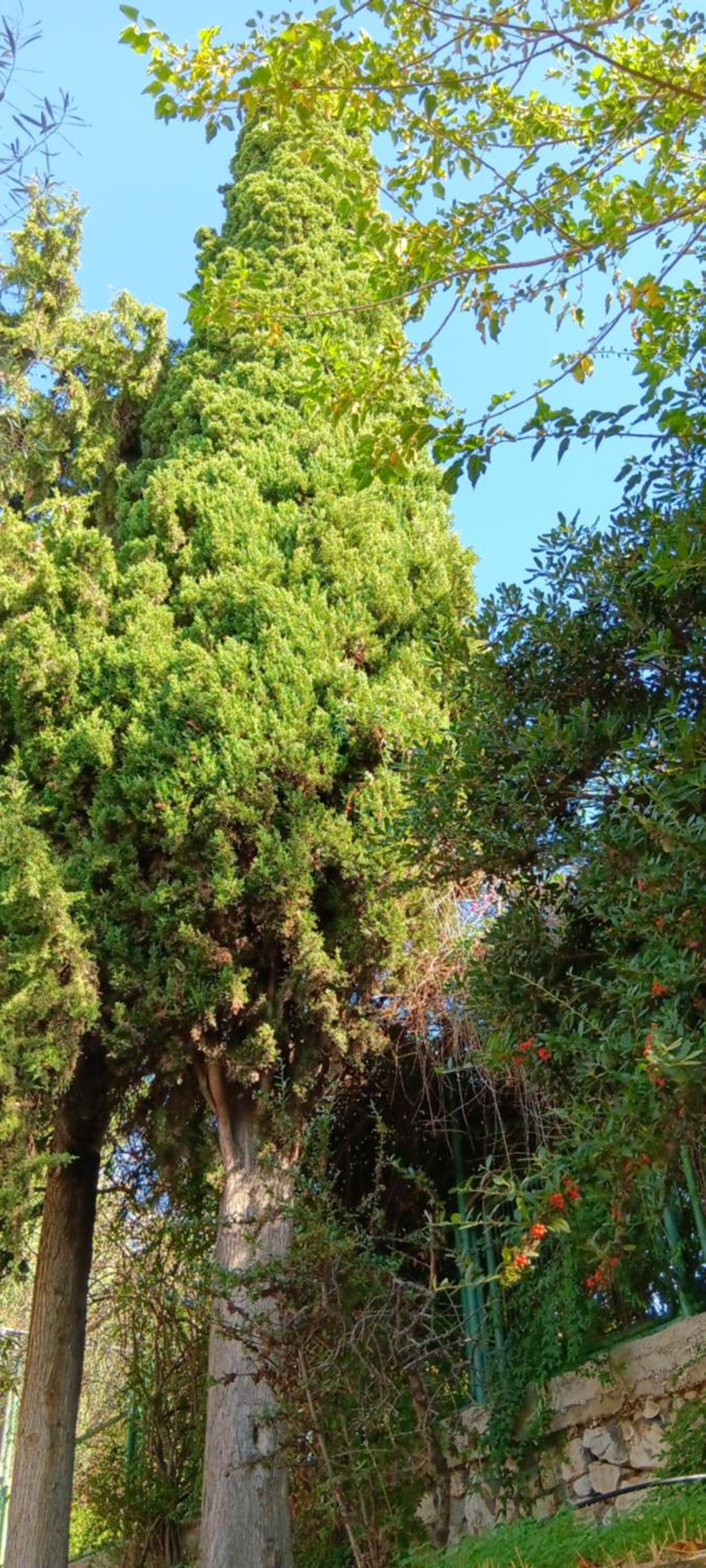 Athenian Asty Guesthouse