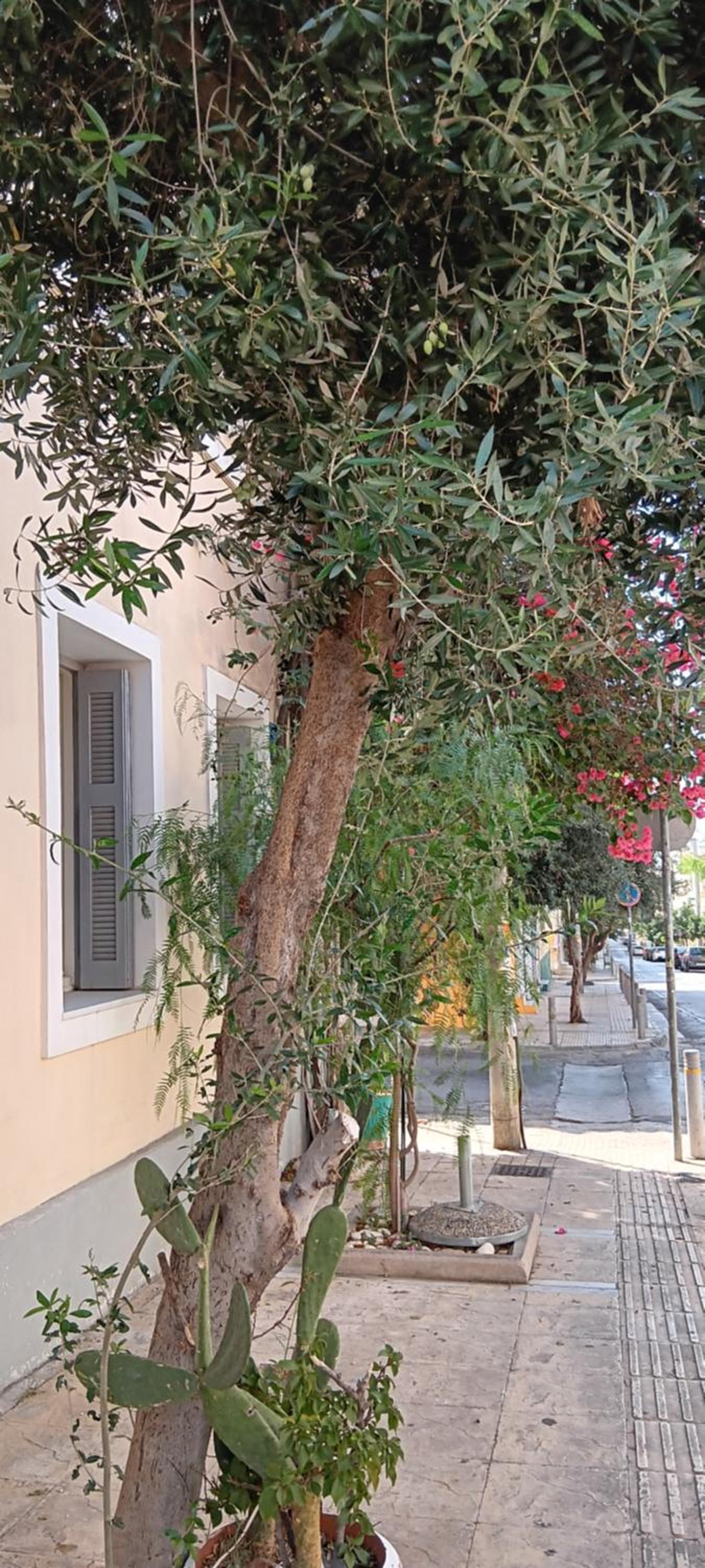 Athenian Asty Guesthouse