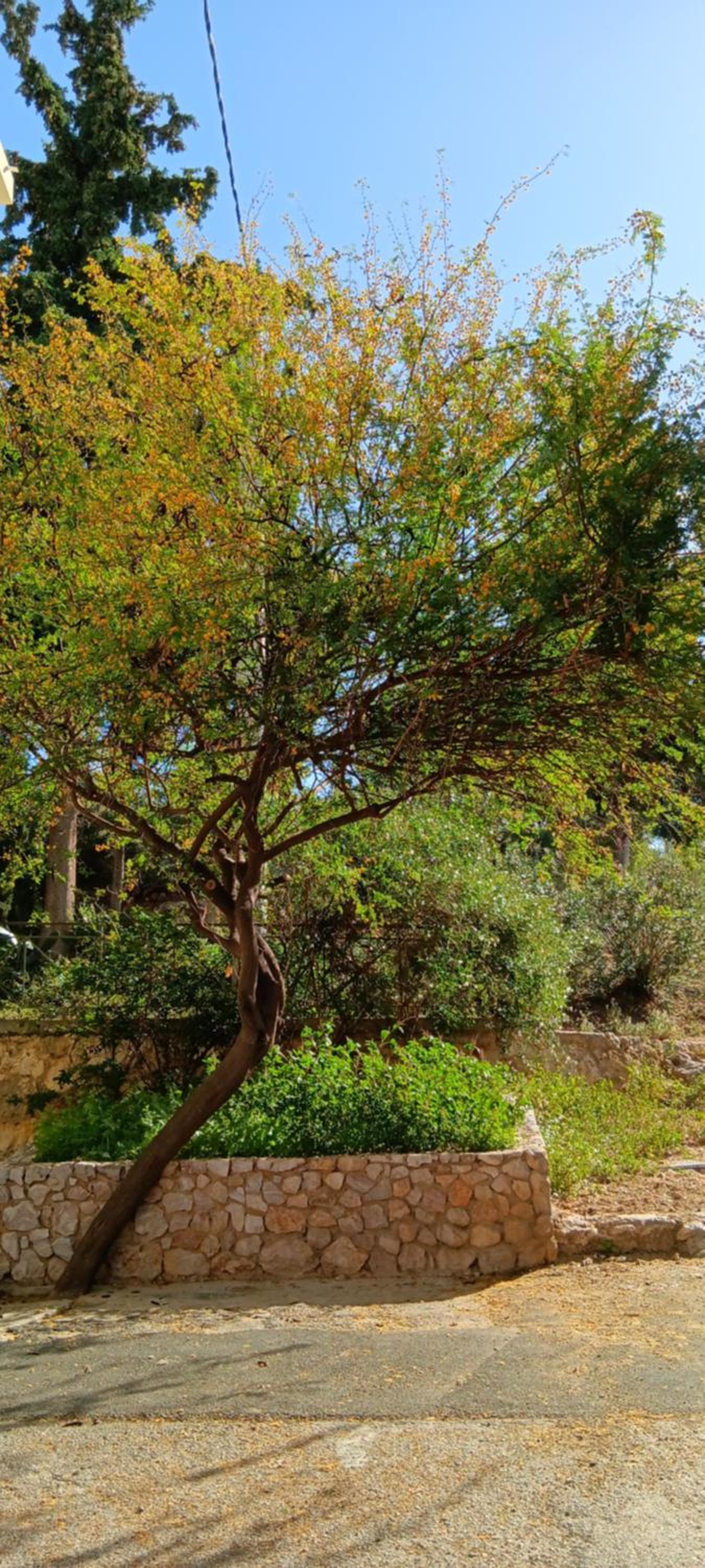 Athenian Asty Guesthouse