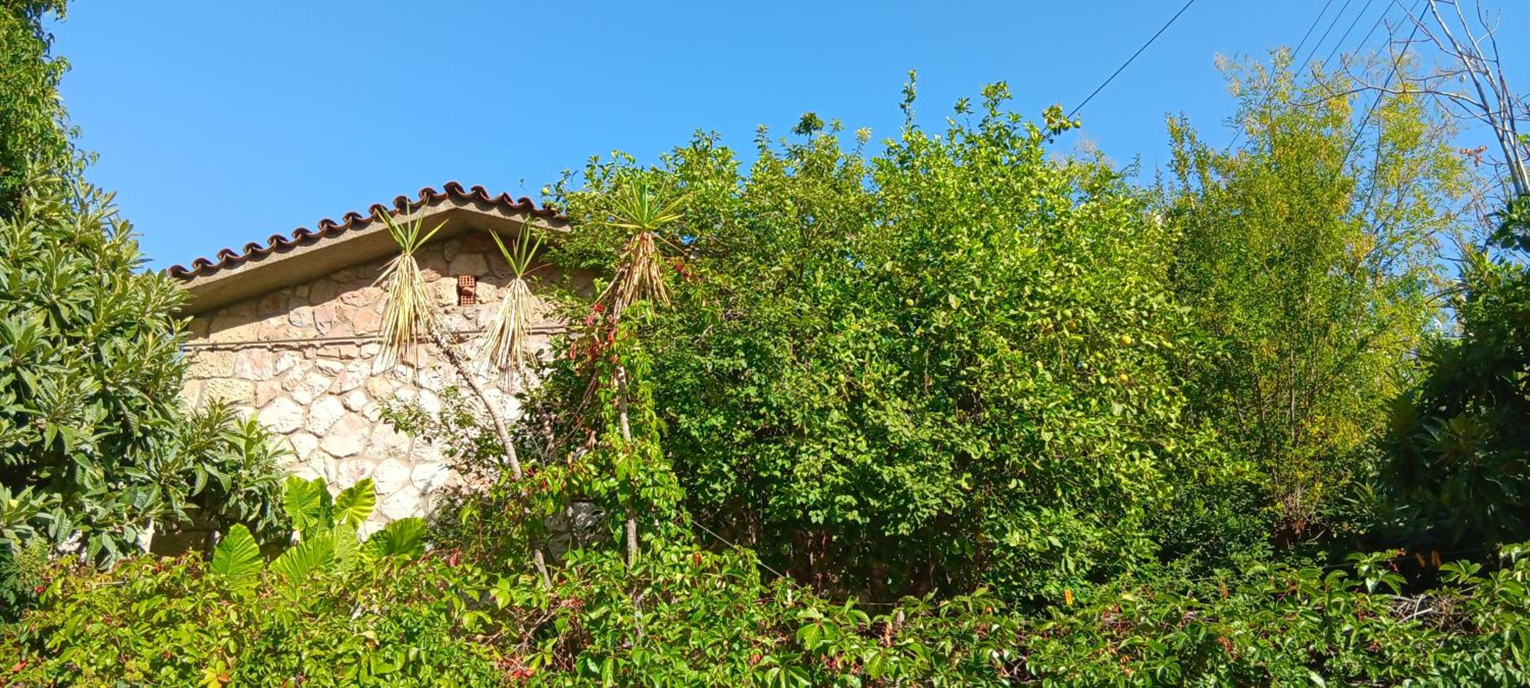 Athenian Asty Guesthouse