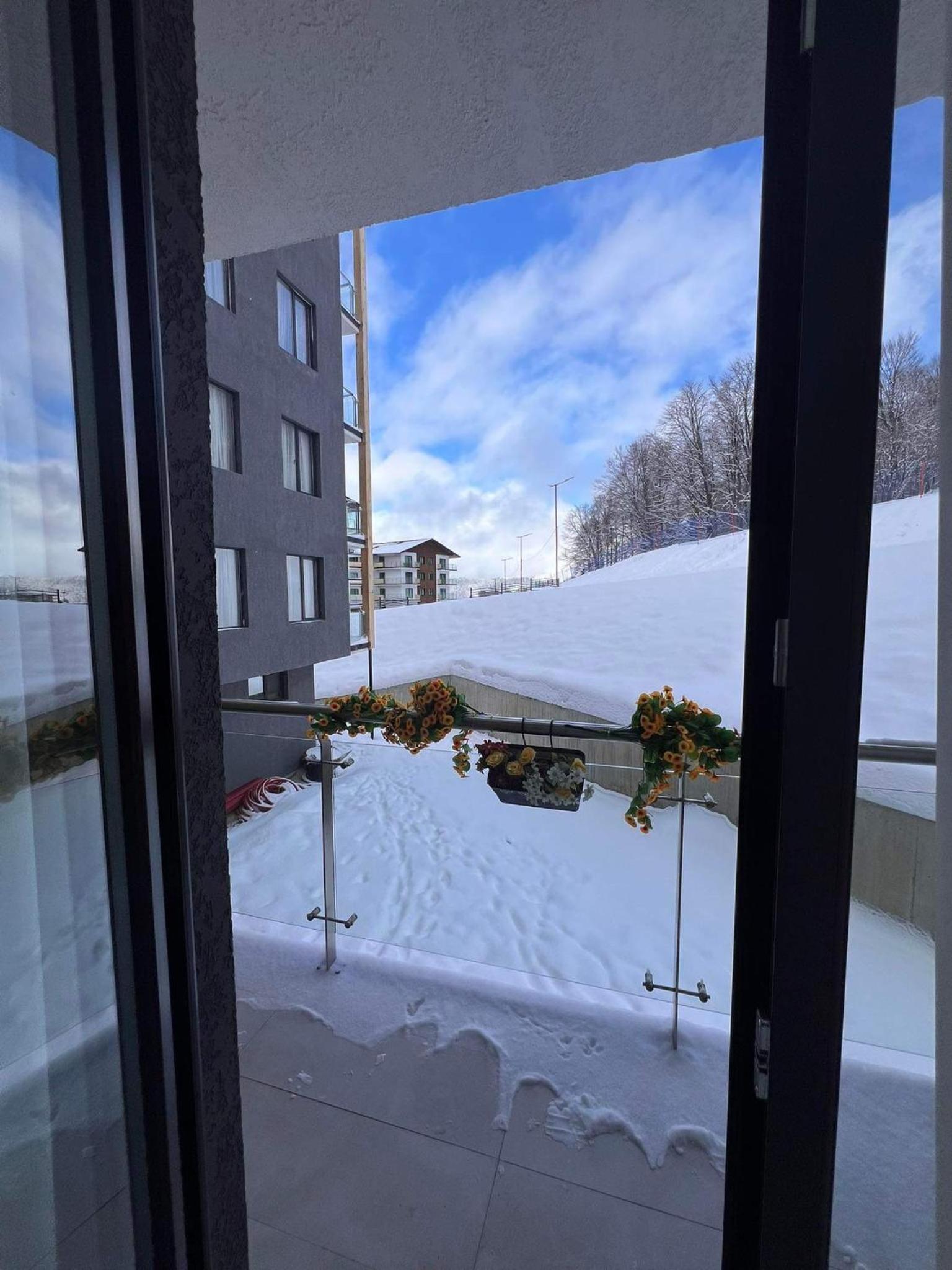 Crystal Wood Apartment 213 view 5