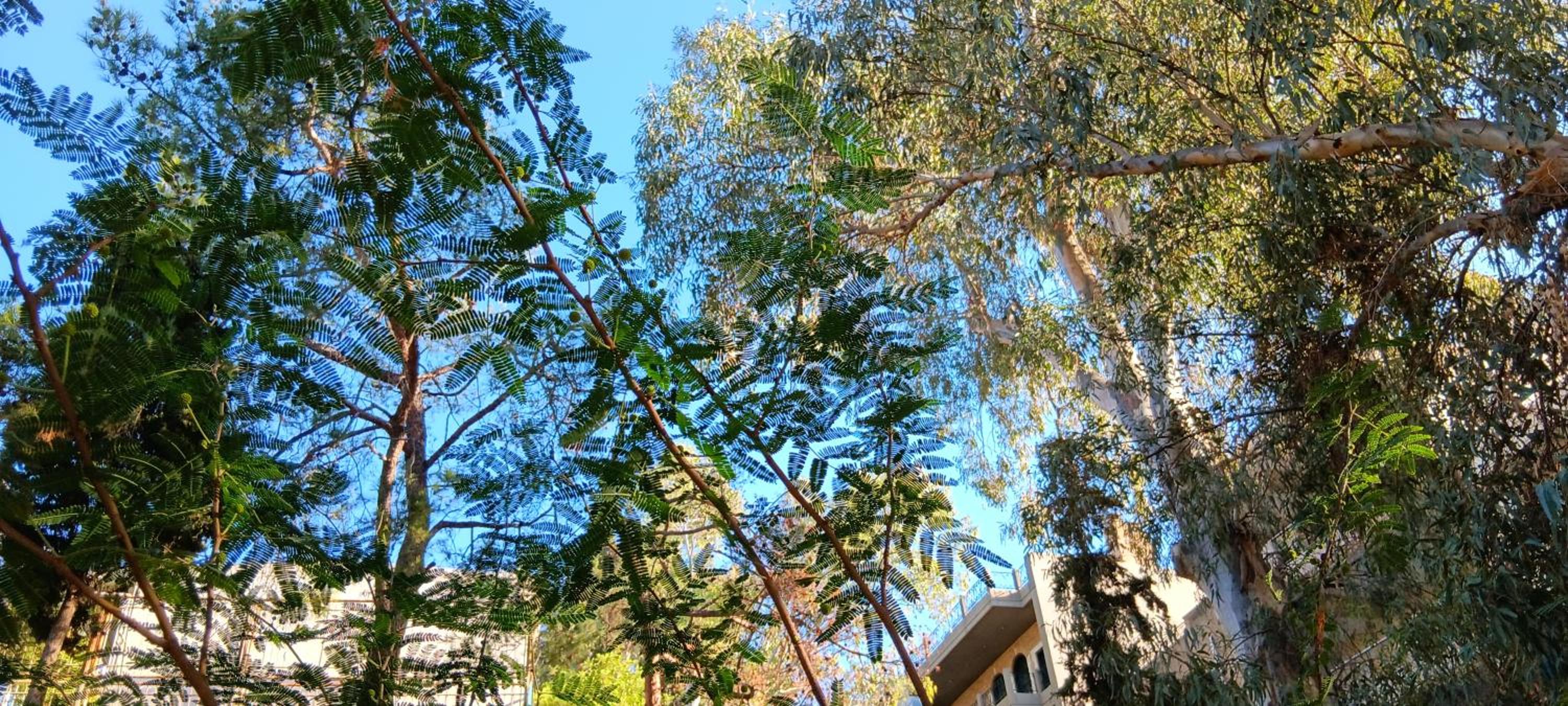 Athenian Asty Guesthouse