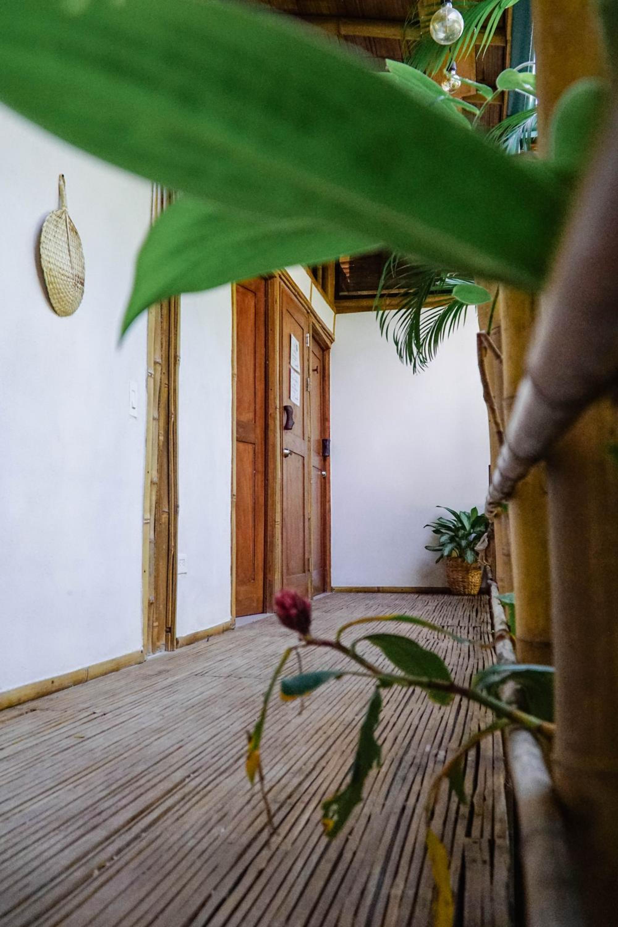 Dream Surf House Santa Teresa (Playa Hermosa)