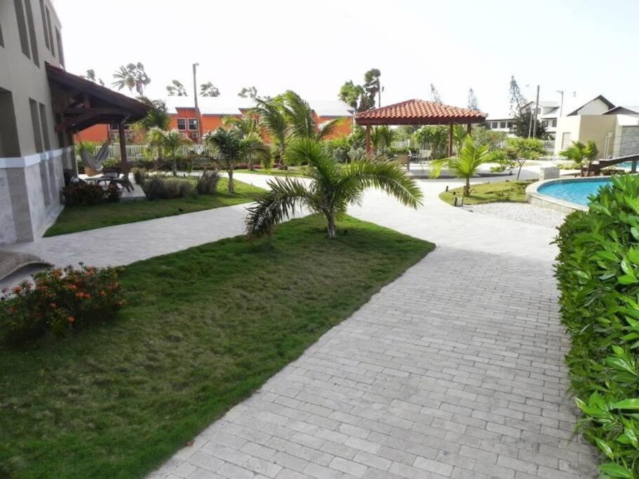 Beautiful Vibes Sun Kiss Serenity your Stylish Apt Just Steps from Eagle Beach