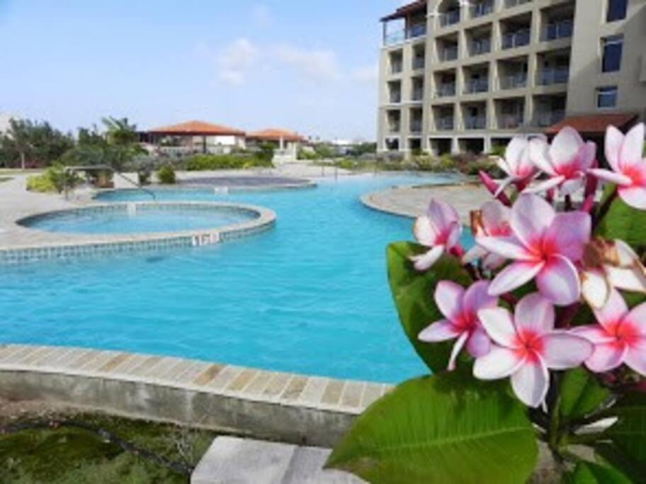 Beautiful Vibes Sun Kiss Serenity your Stylish Apt Just Steps from Eagle Beach