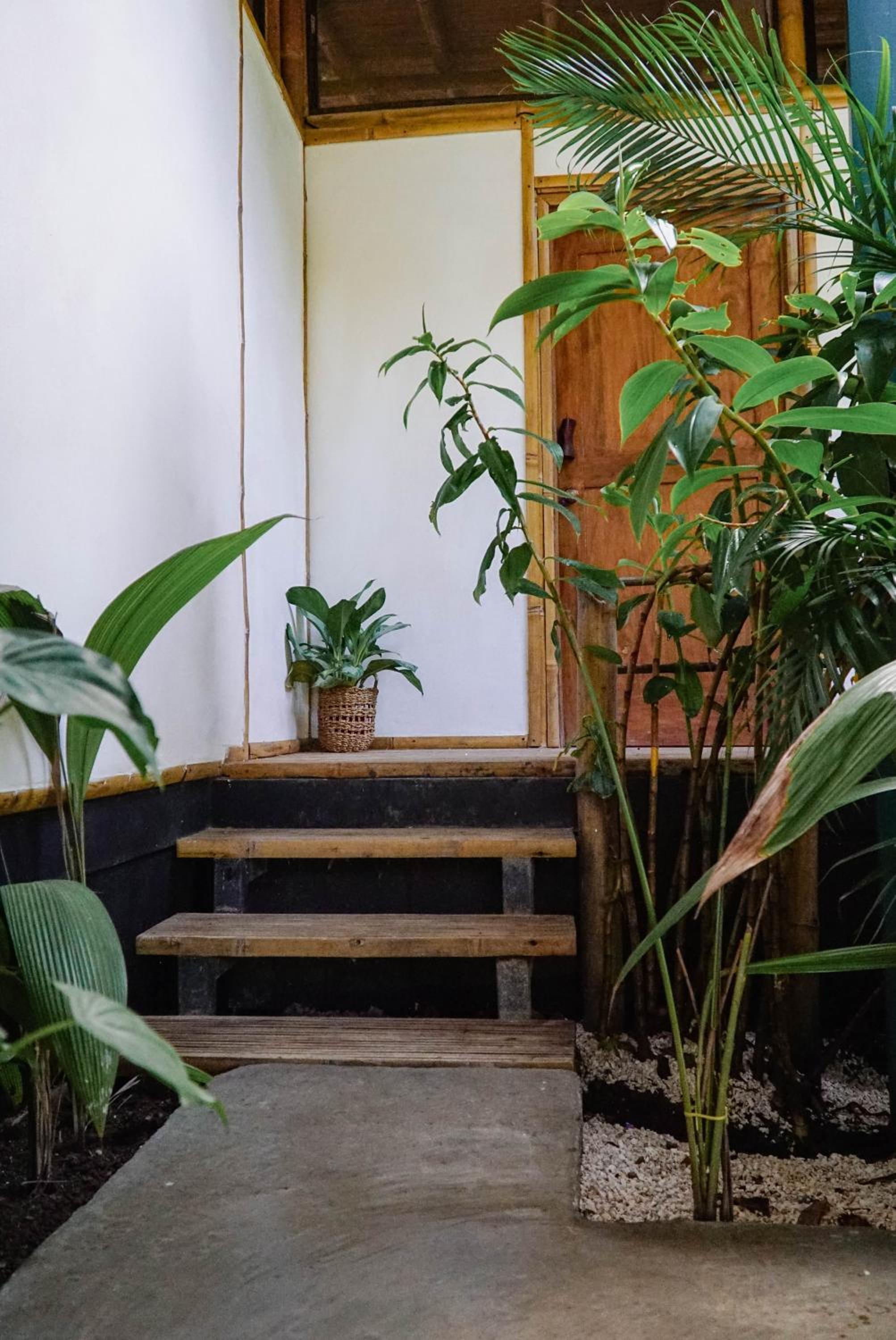 Dream Surf House Santa Teresa (Playa Hermosa)