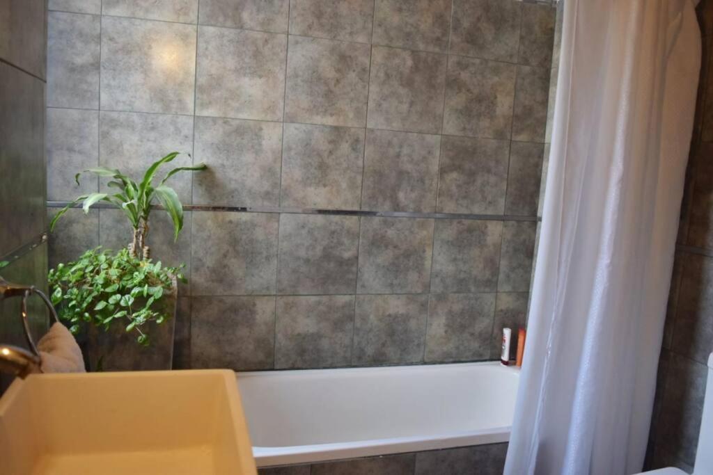 Nómade Habitación