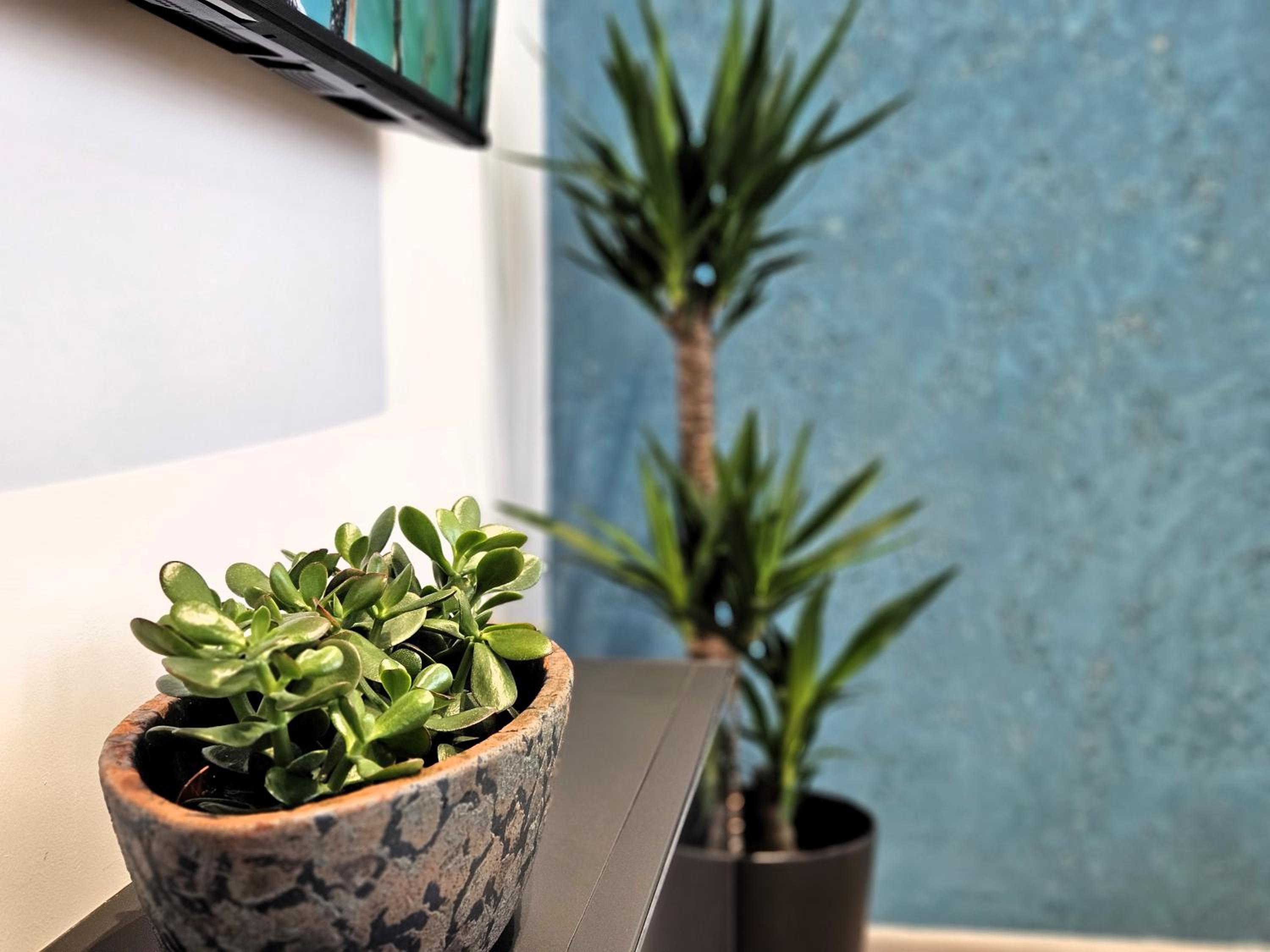 Suite Stay at 8 en Split — other