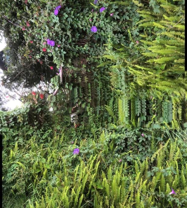 Photo 49