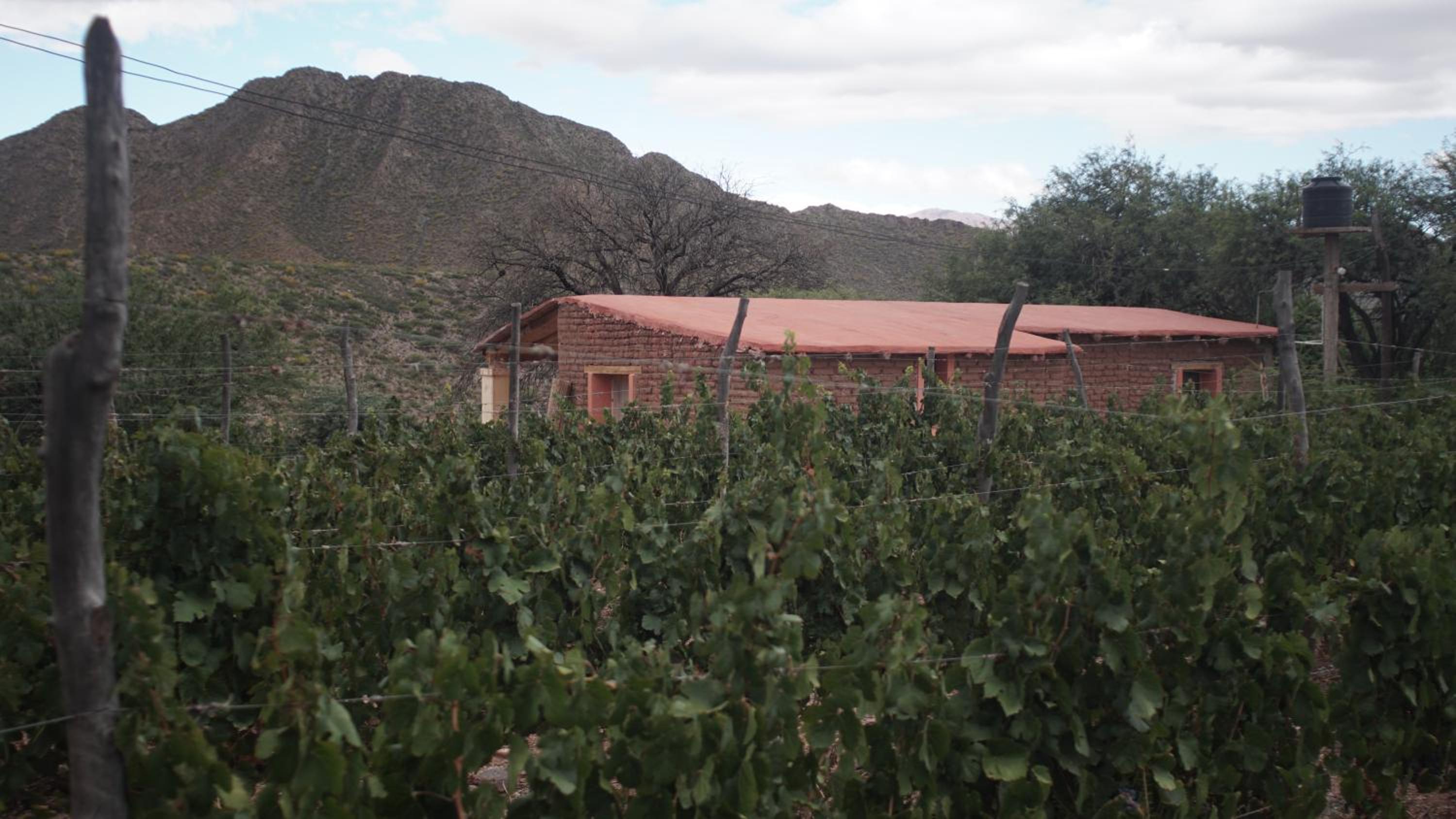 Hospedaje Finca la Encantada