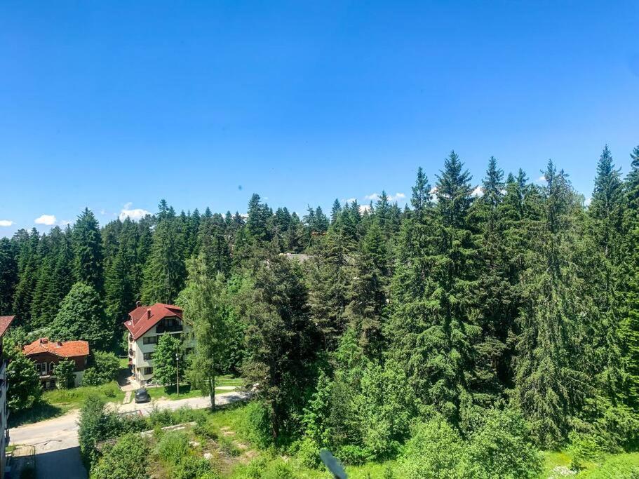 Charming 1bedroom apartment