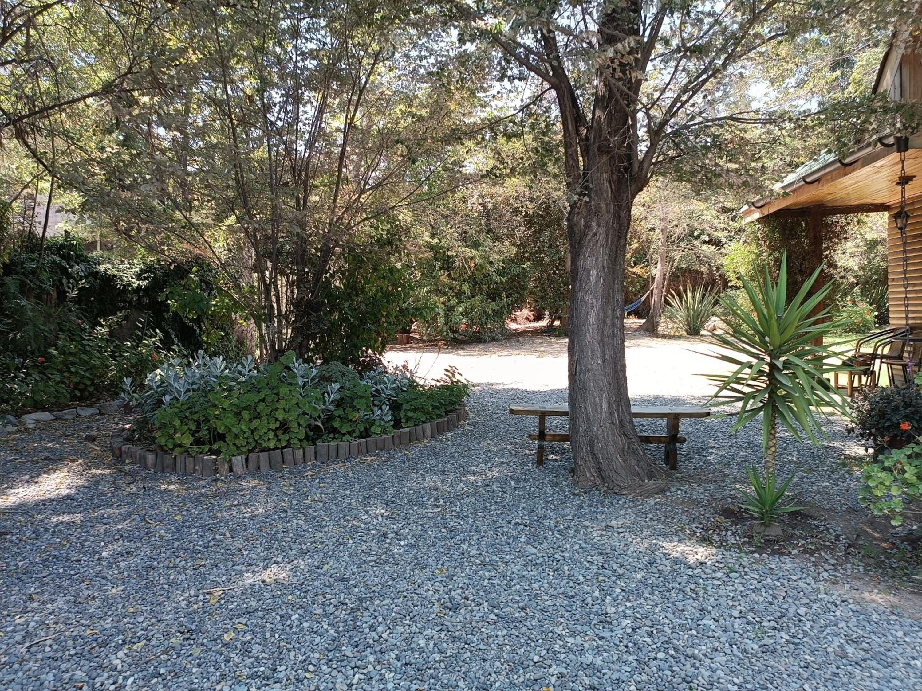 Photo 6