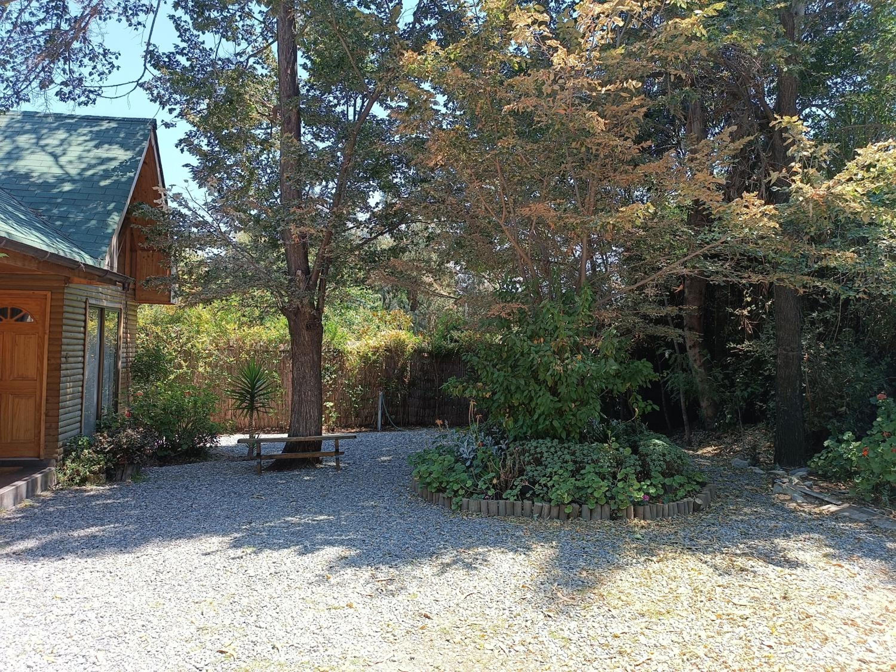 Photo 7