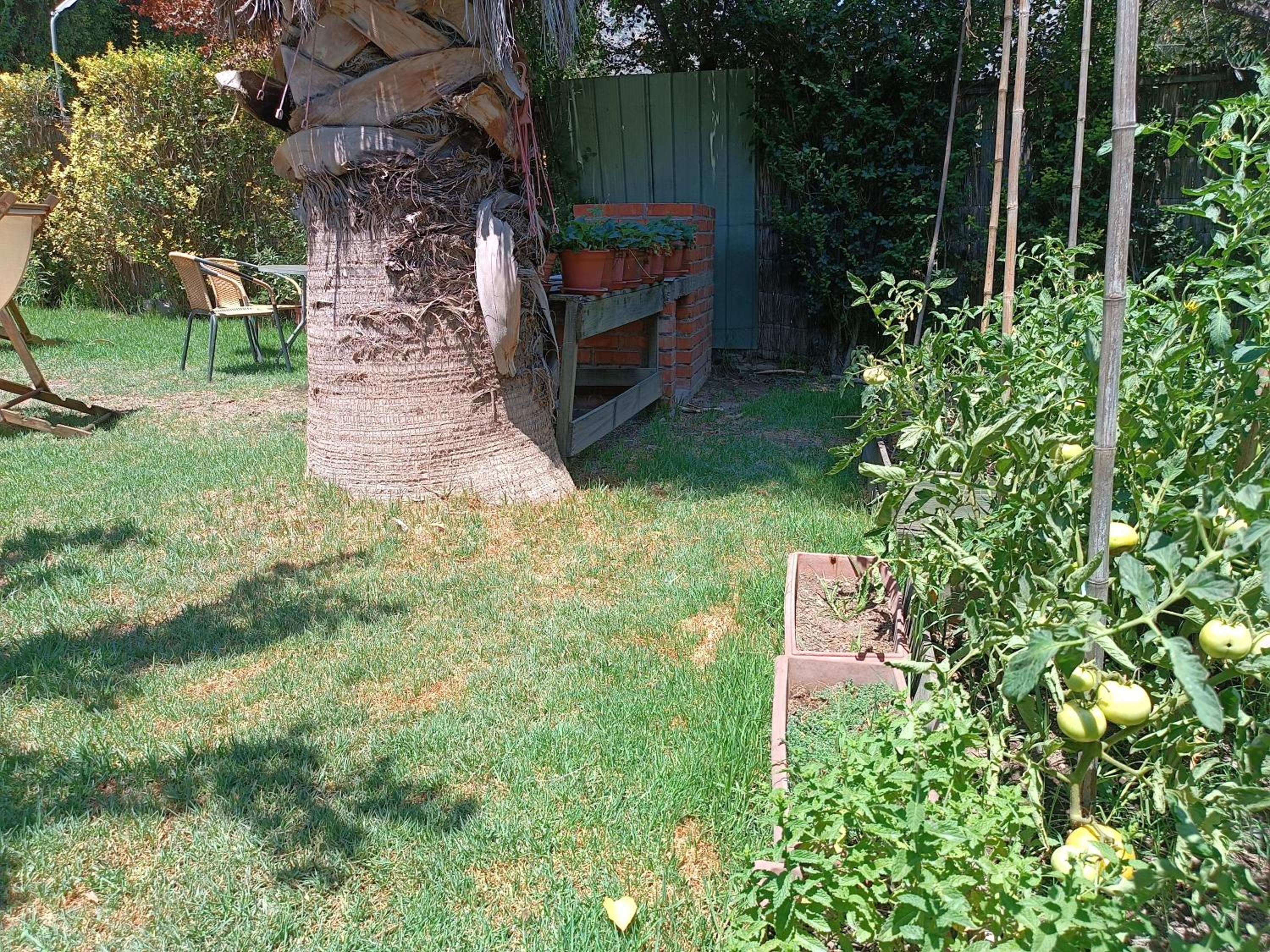 Photo 38
