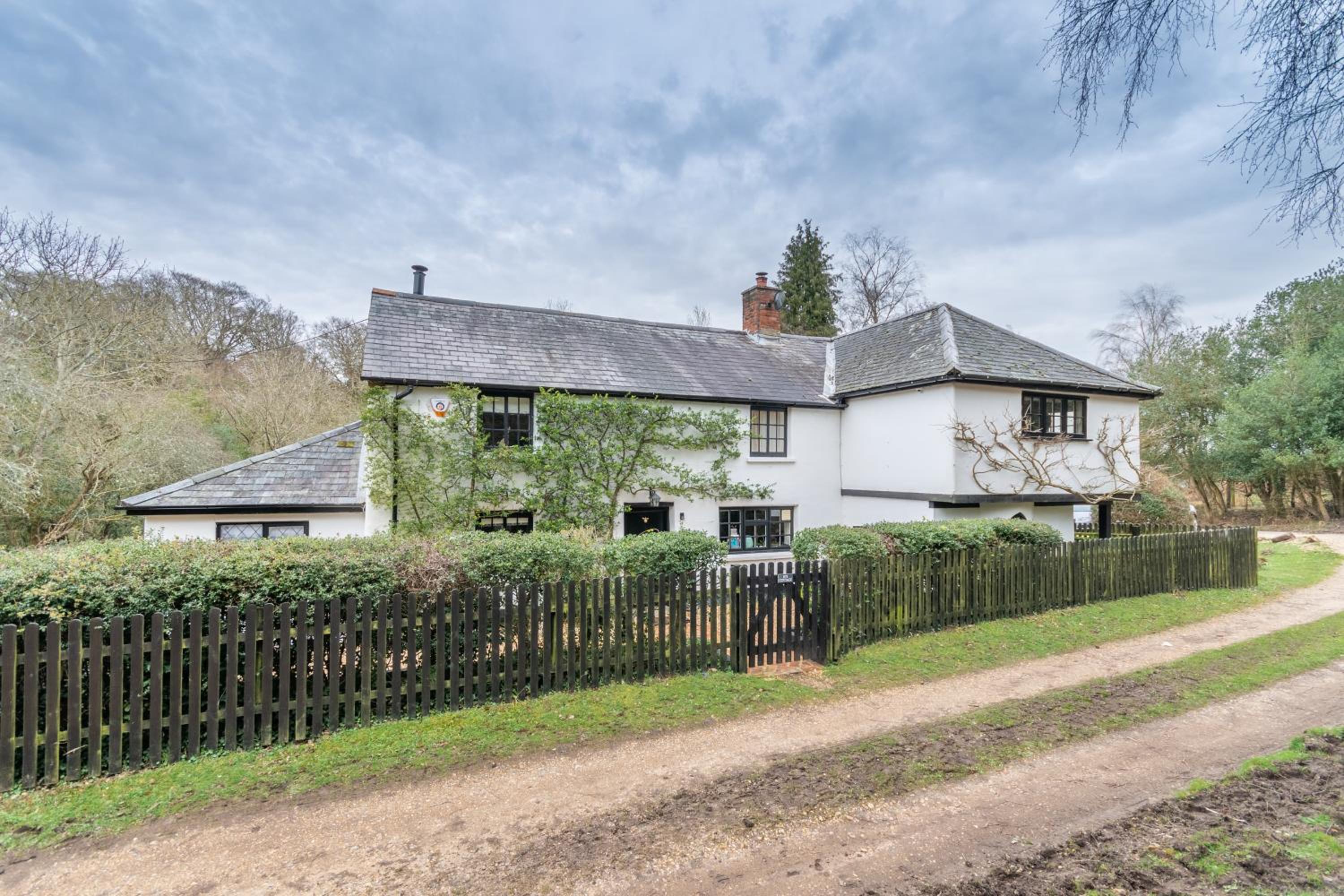 Luxury cosy cottage, enchanting forest location. view 2