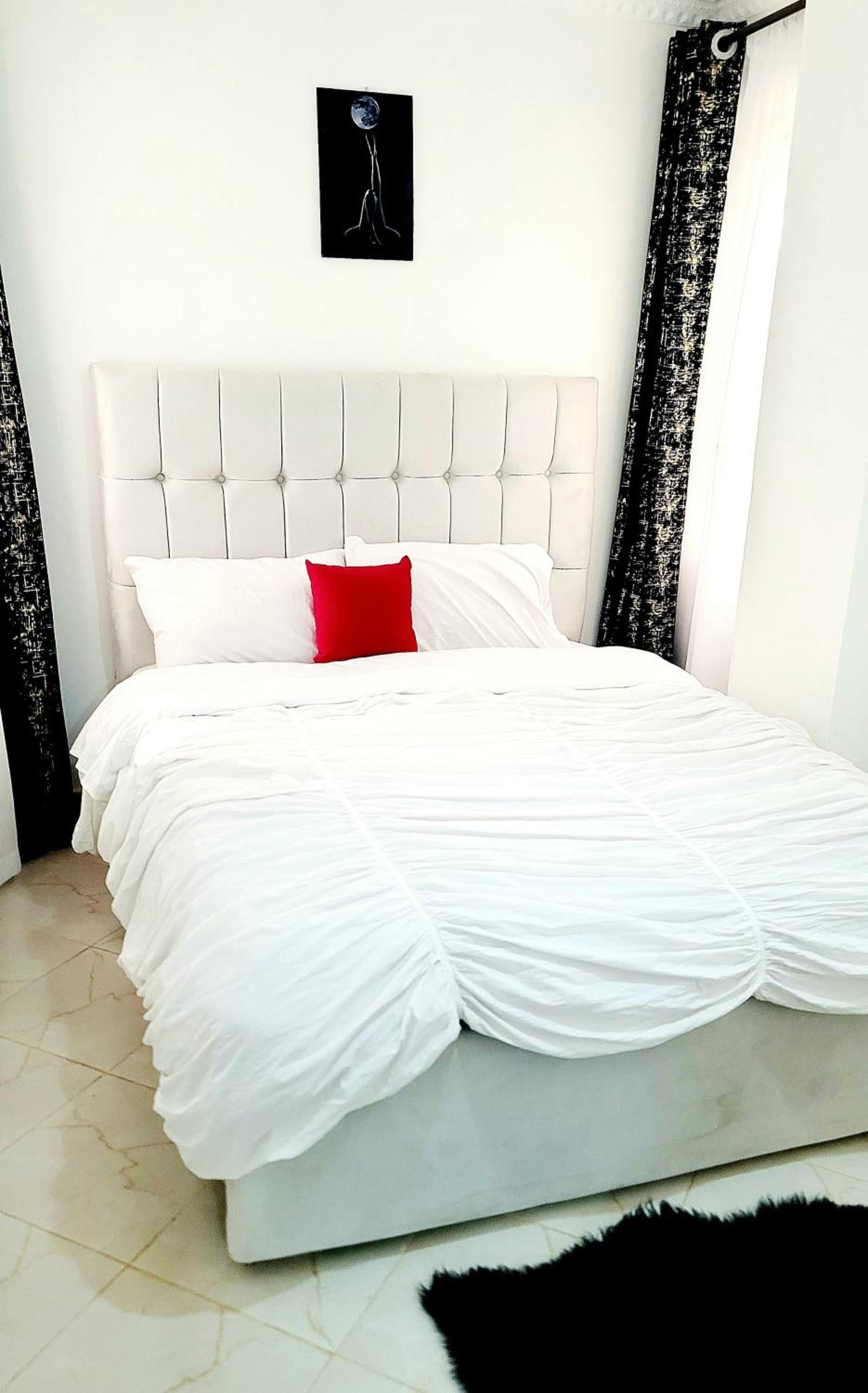 Luxurious Newly Fully Furnished Apartment