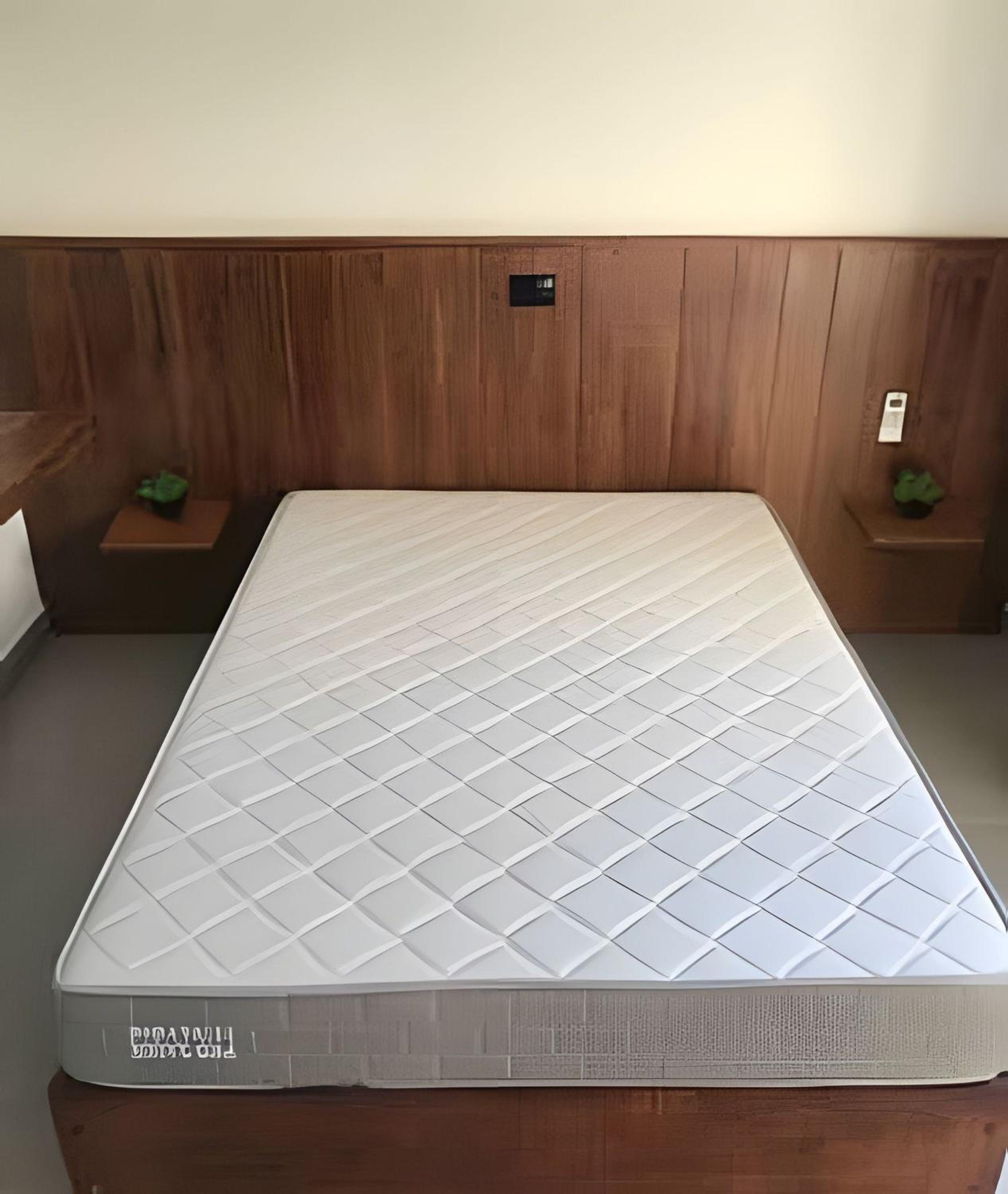 Palmeiras-Izi c/piscina aquecida vista para o mar
