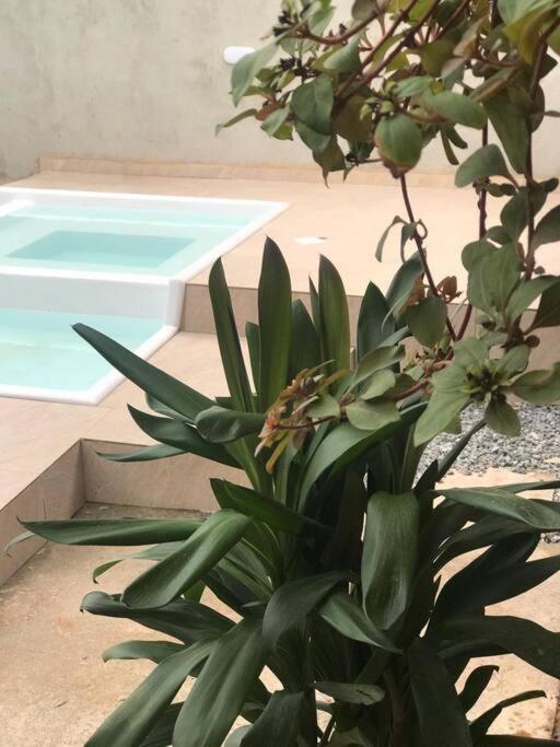 Casa Rústica, piscina com aquecimento solar e SPA